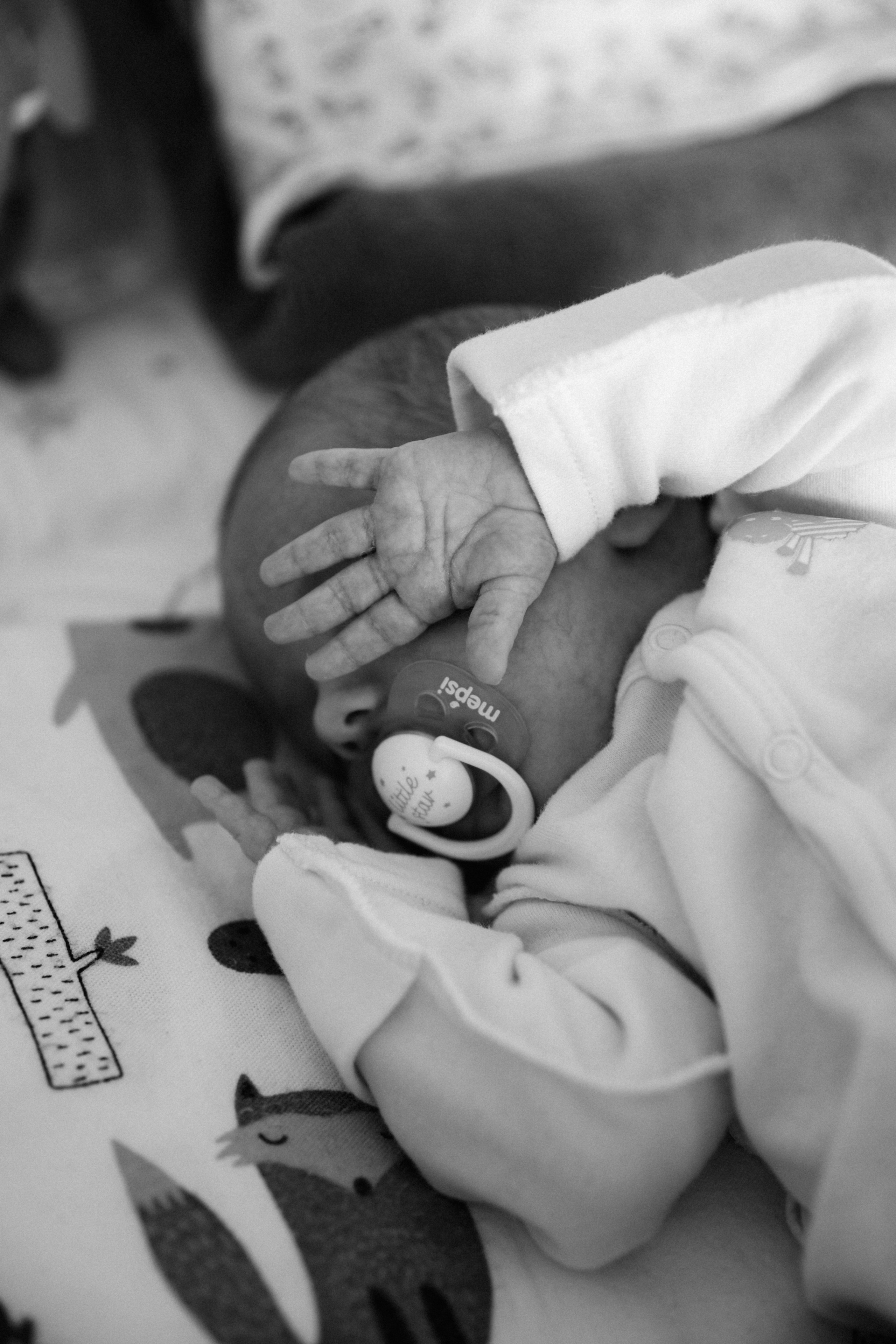 Кира. Фотограф Влада Лаптева Владивосток, Приморский край