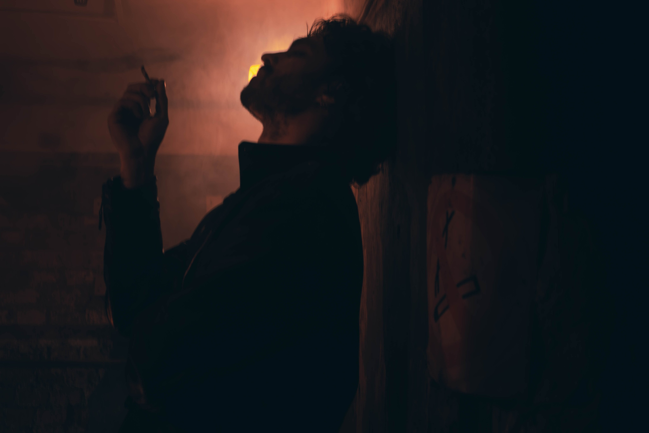 Арт-проекты. Фотограф анималист — Тула, Москва