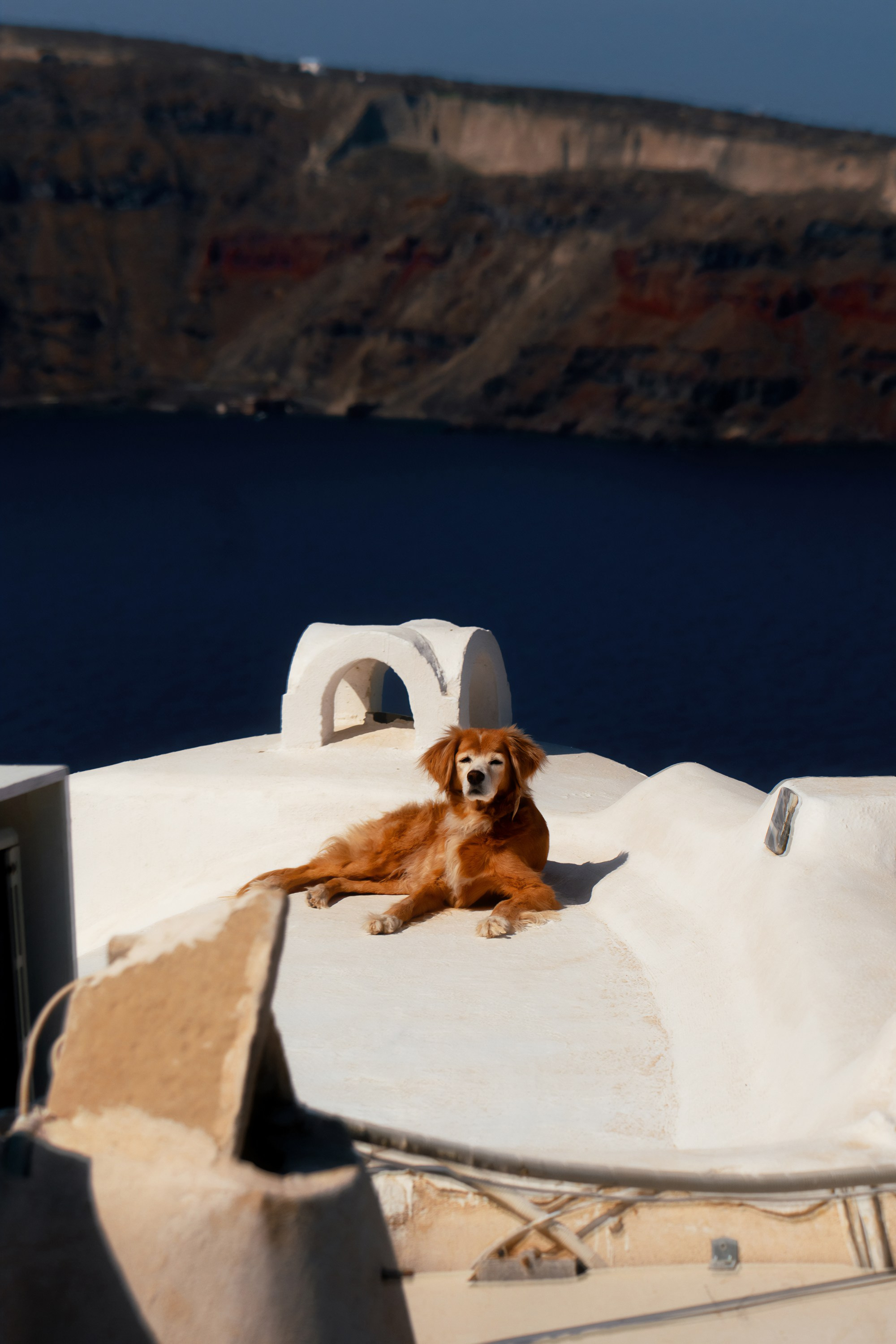 Турция, Греция, Иордания. Фотограф в Хабаровске. Фотография за 24 часа