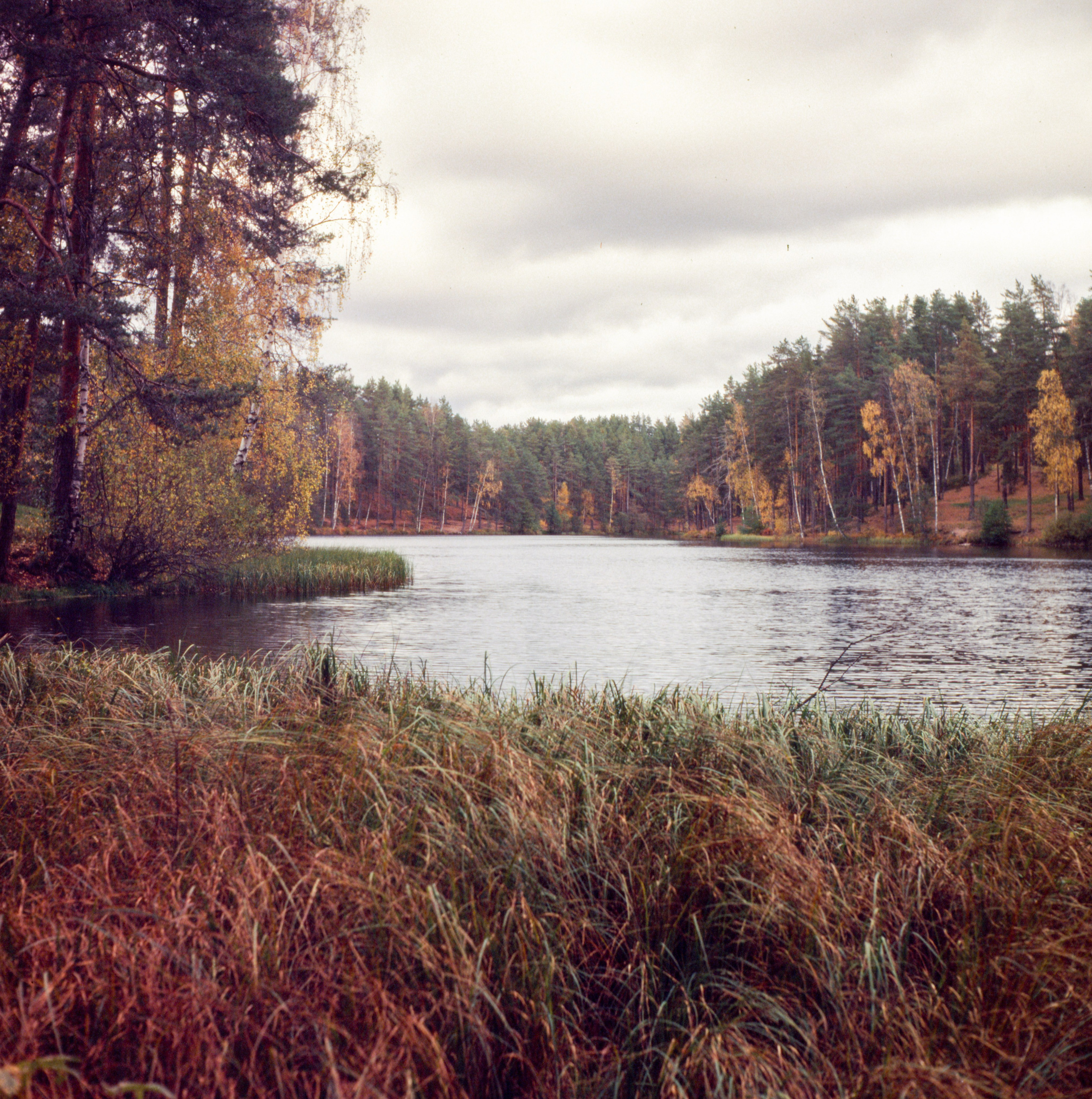 Школа Ильи Михачёва. Илья Михачёв Фотограф ПРО людей