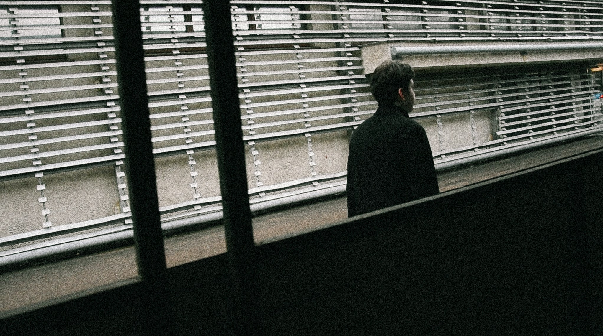 Репортаж. Morozography