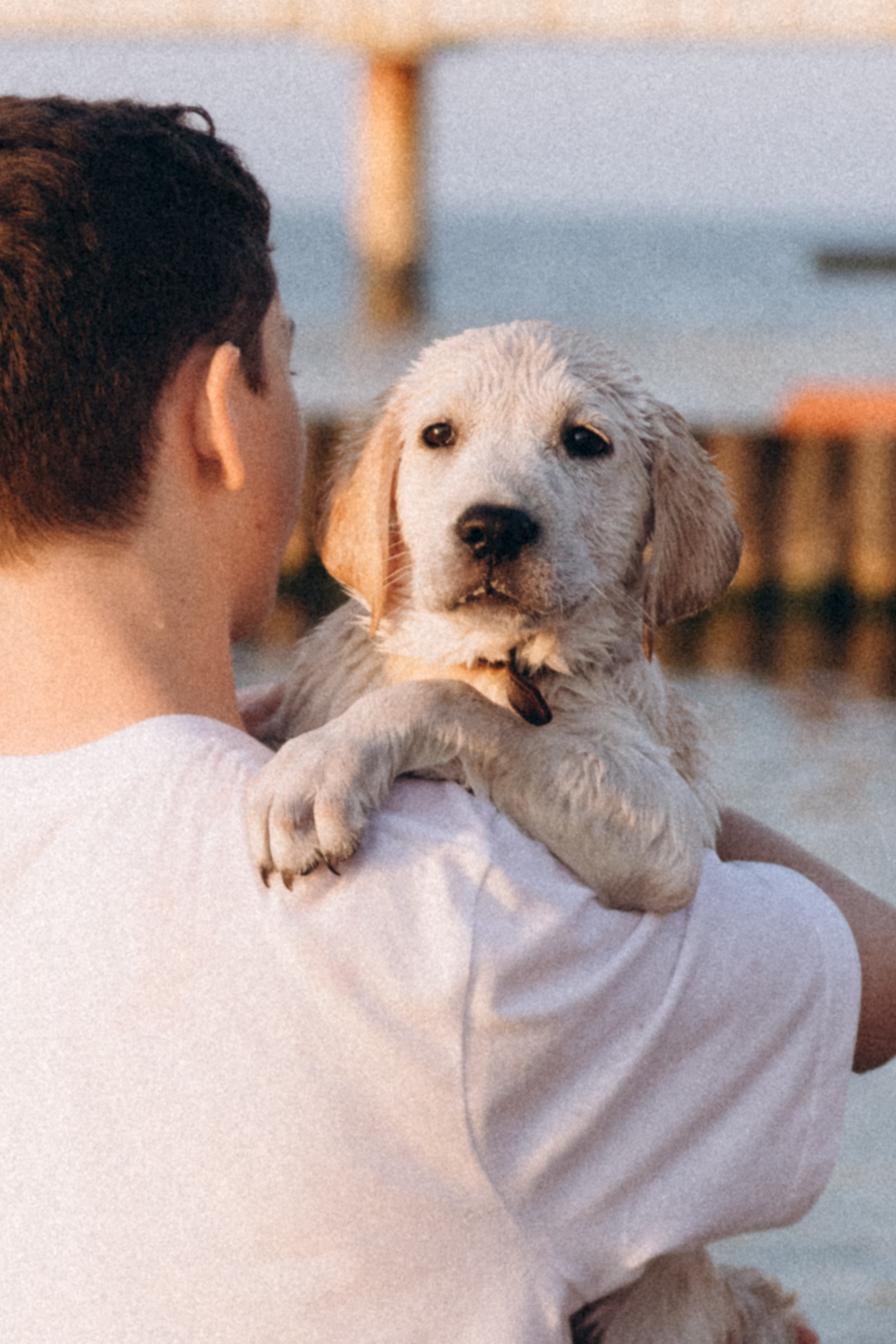 Семейная история с питомцем. Фотограф Ольга Кудрявцева. Профессиональная фотосъёмка в Калининграде