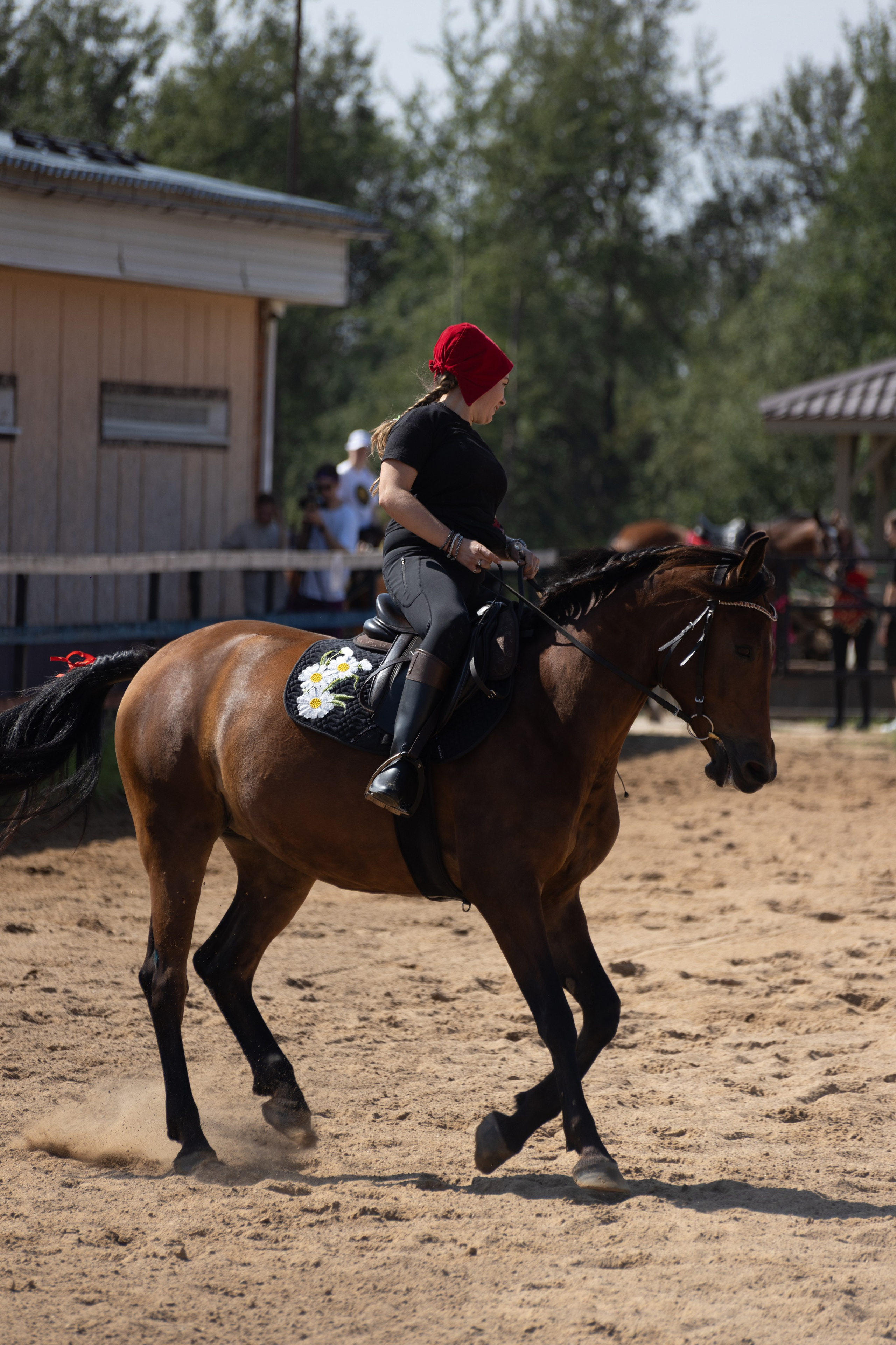 Конюшня. Фотограф в Москве и Истре