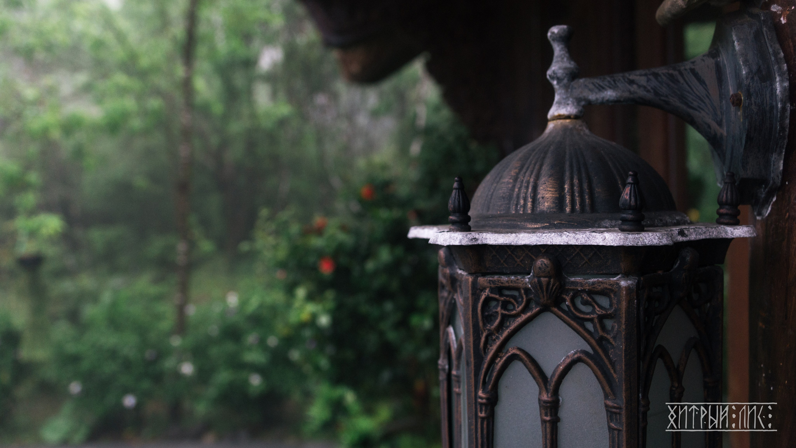 Вьетнам. Фотограф-путешественник Самойлов Максим «Sly Fox»