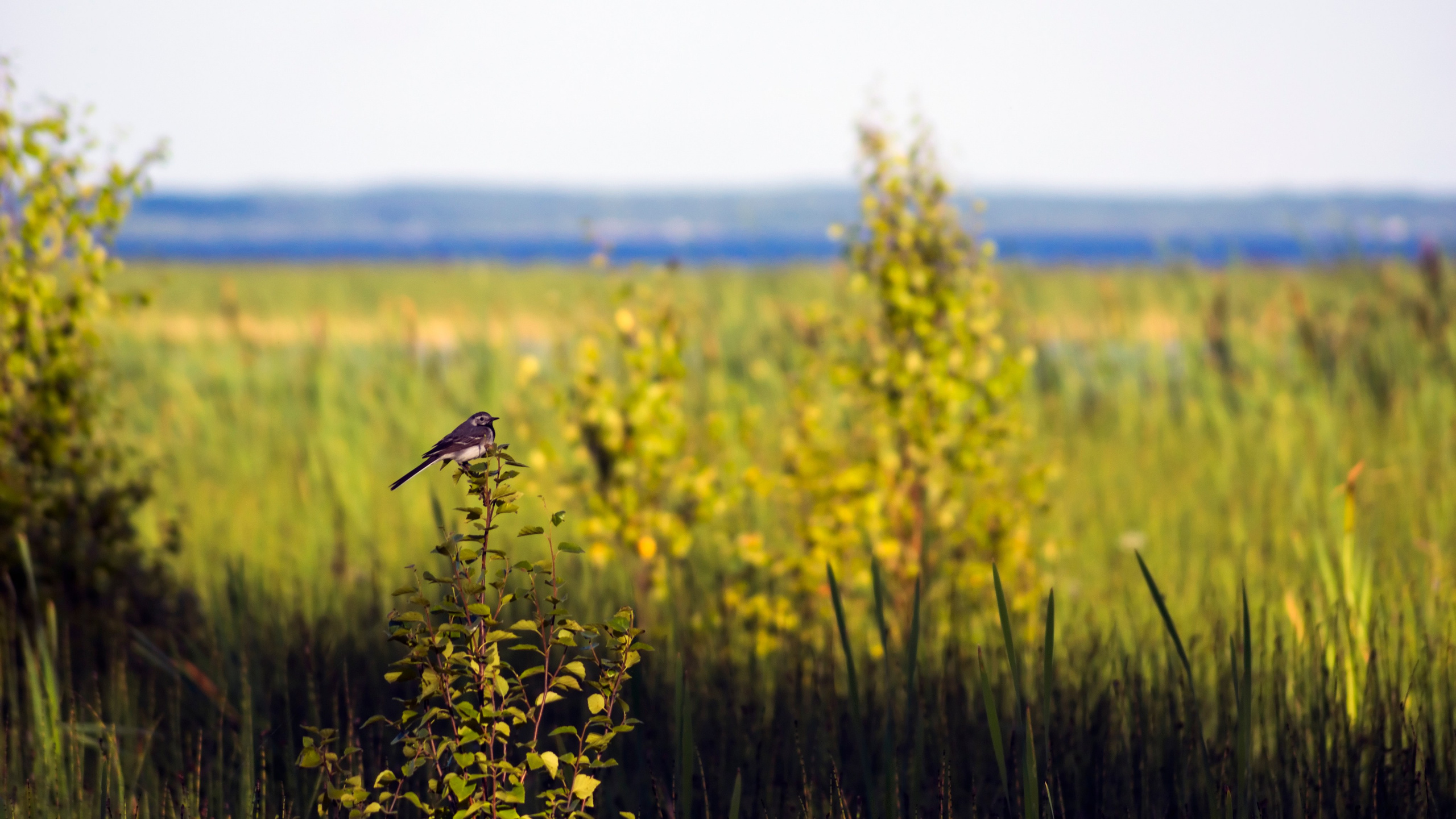 Карелия. Фотограф-путешественник Самойлов Максим «Sly Fox»