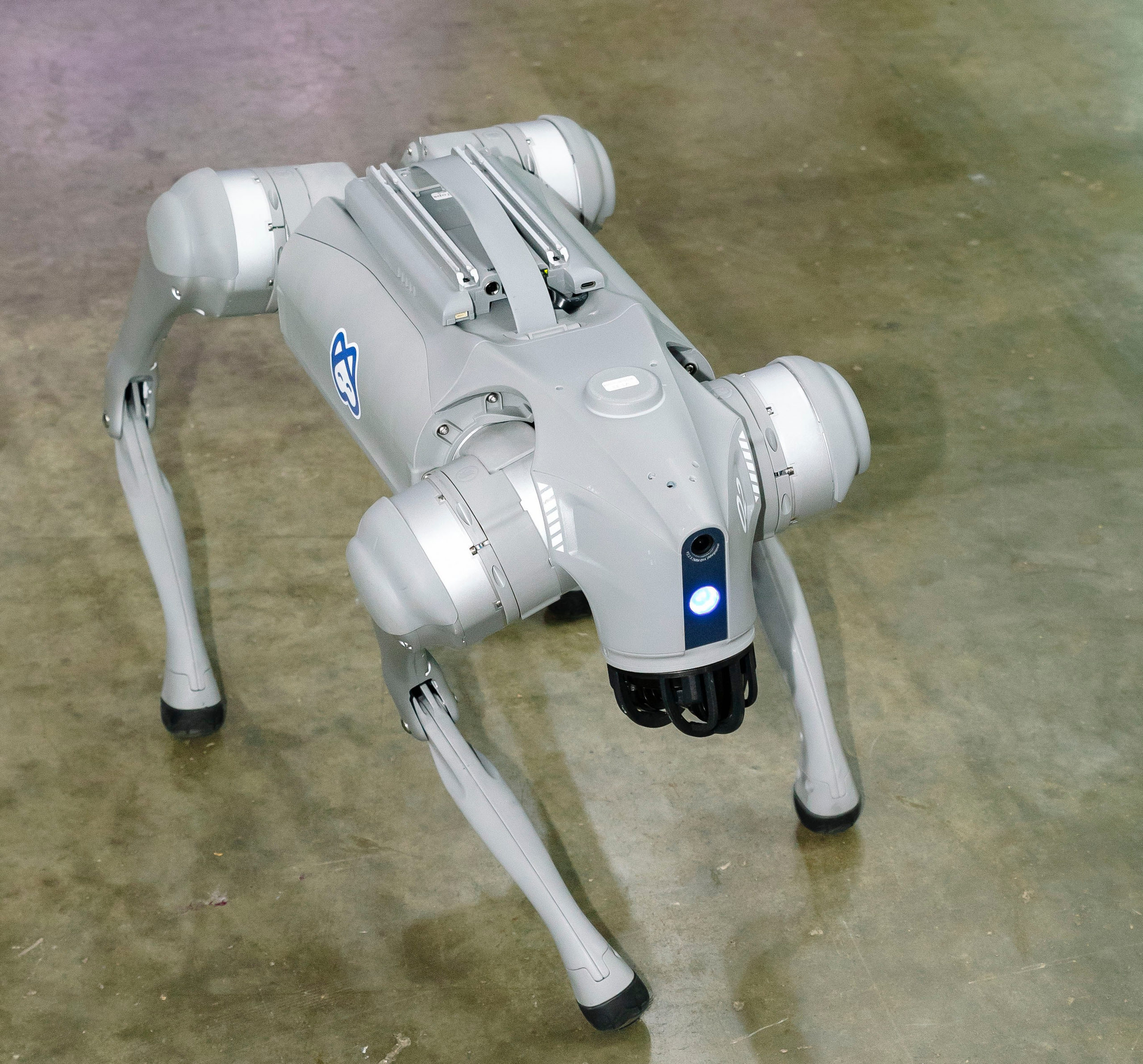 Стоматологическая выставка Dental Salon 2026. Профессиональный фотограф в Москве | Заказать фотосессию и съемку