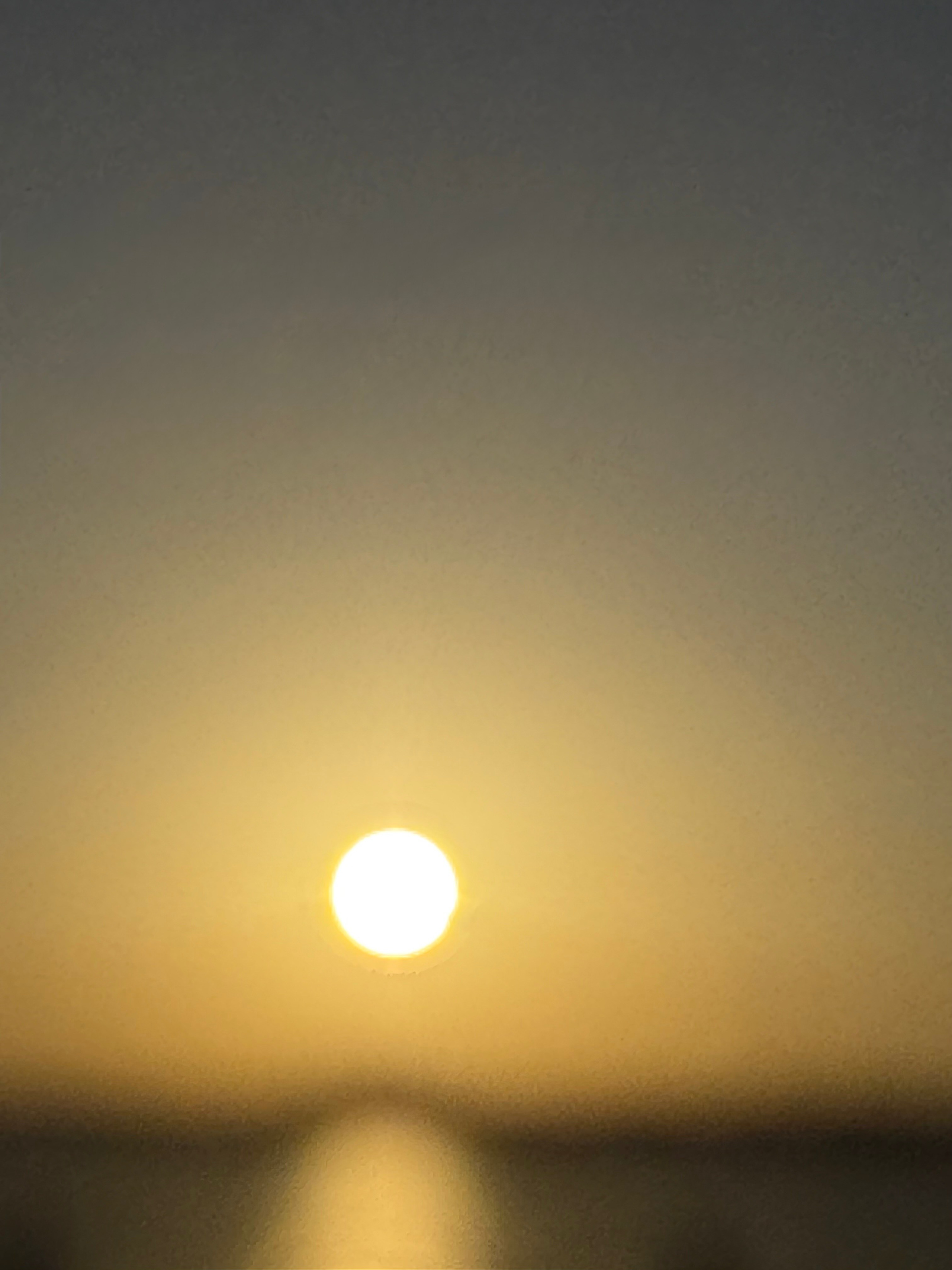 Фотограф Москва. Фотограф и художник в Москве Евгения Нюнина