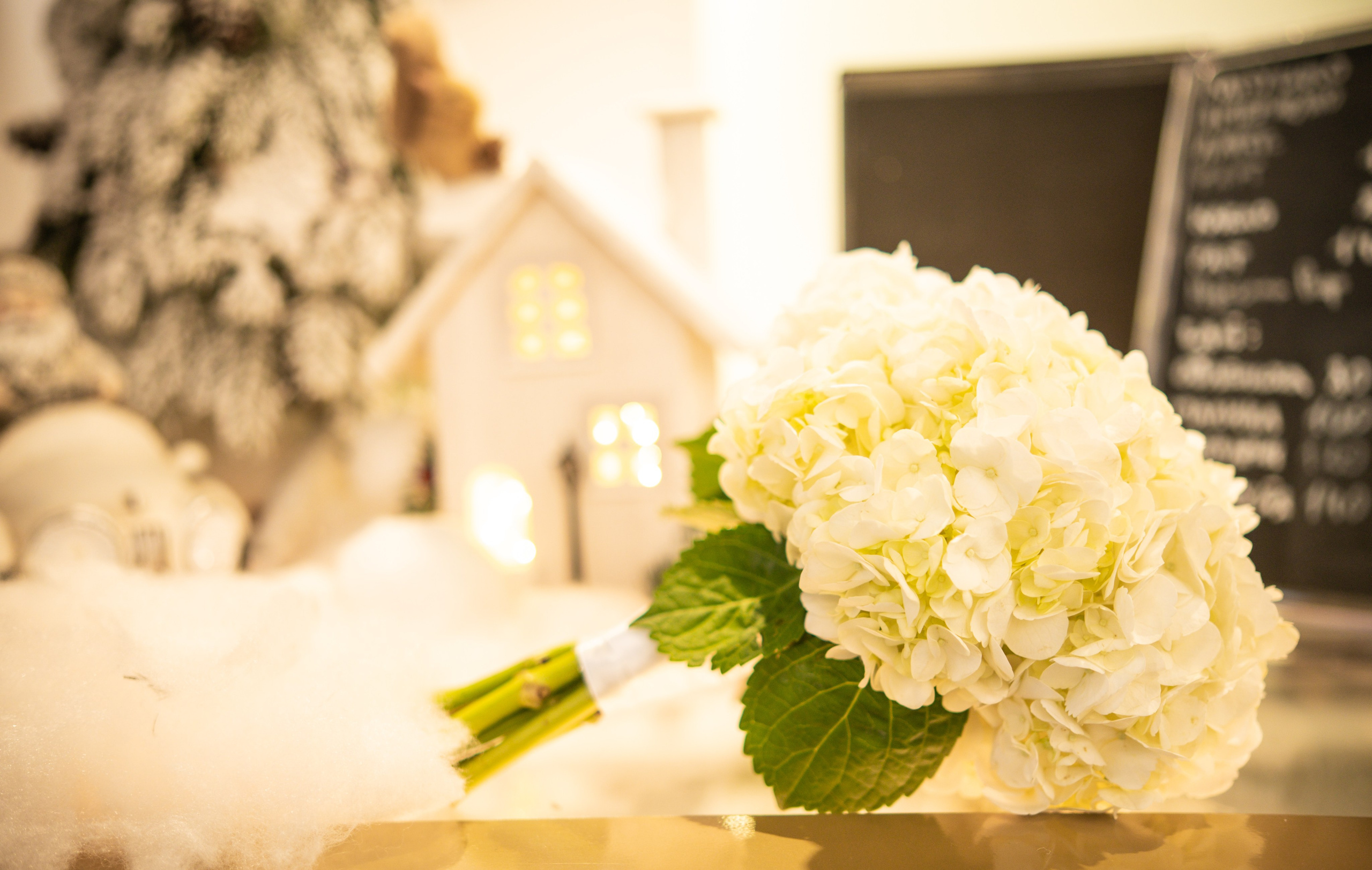 Свадьба Декабрь. Свадебный фотограф и видеограф в городе Армавир Katerina Arts