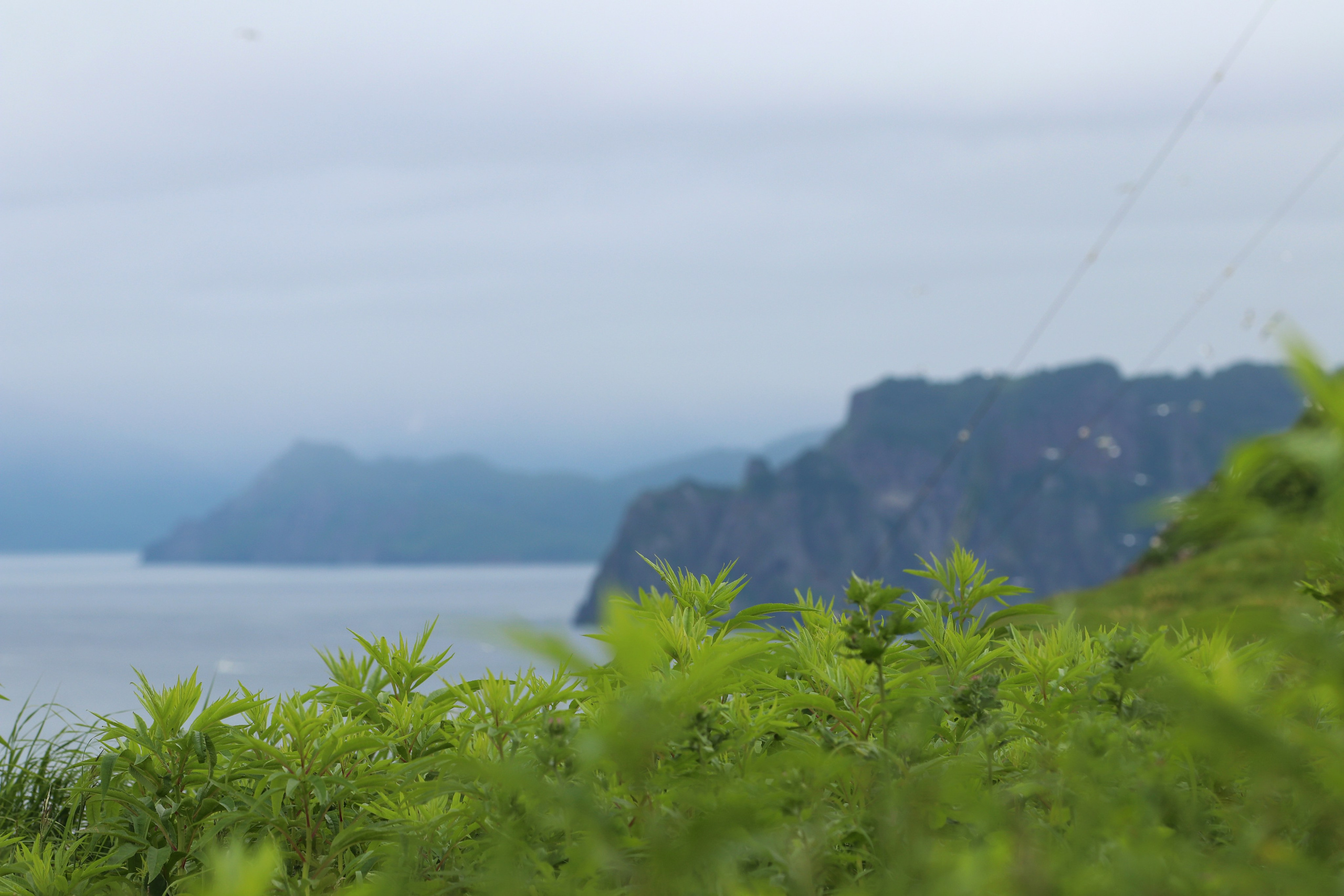 Камчатка и о. Парамушир. Июль 2024. Путешественник-фотограф из Санкт-Петербурга Татьяна Свистулина