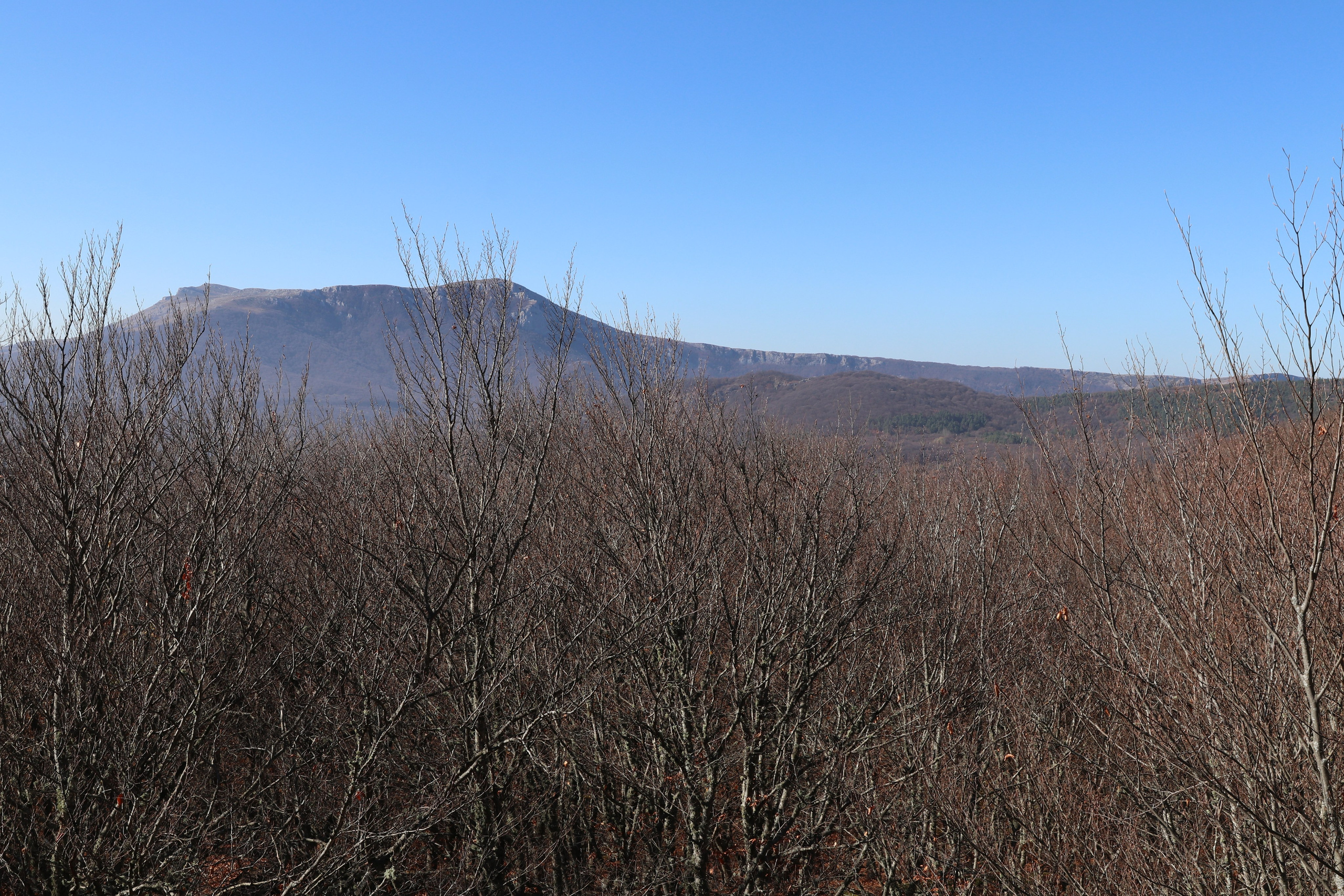 Крым. ЮБК (Гурзуф, Судак и их окрестности). Ноябрь 2023. Путешественник-фотограф из Санкт-Петербурга Татьяна Свистулина