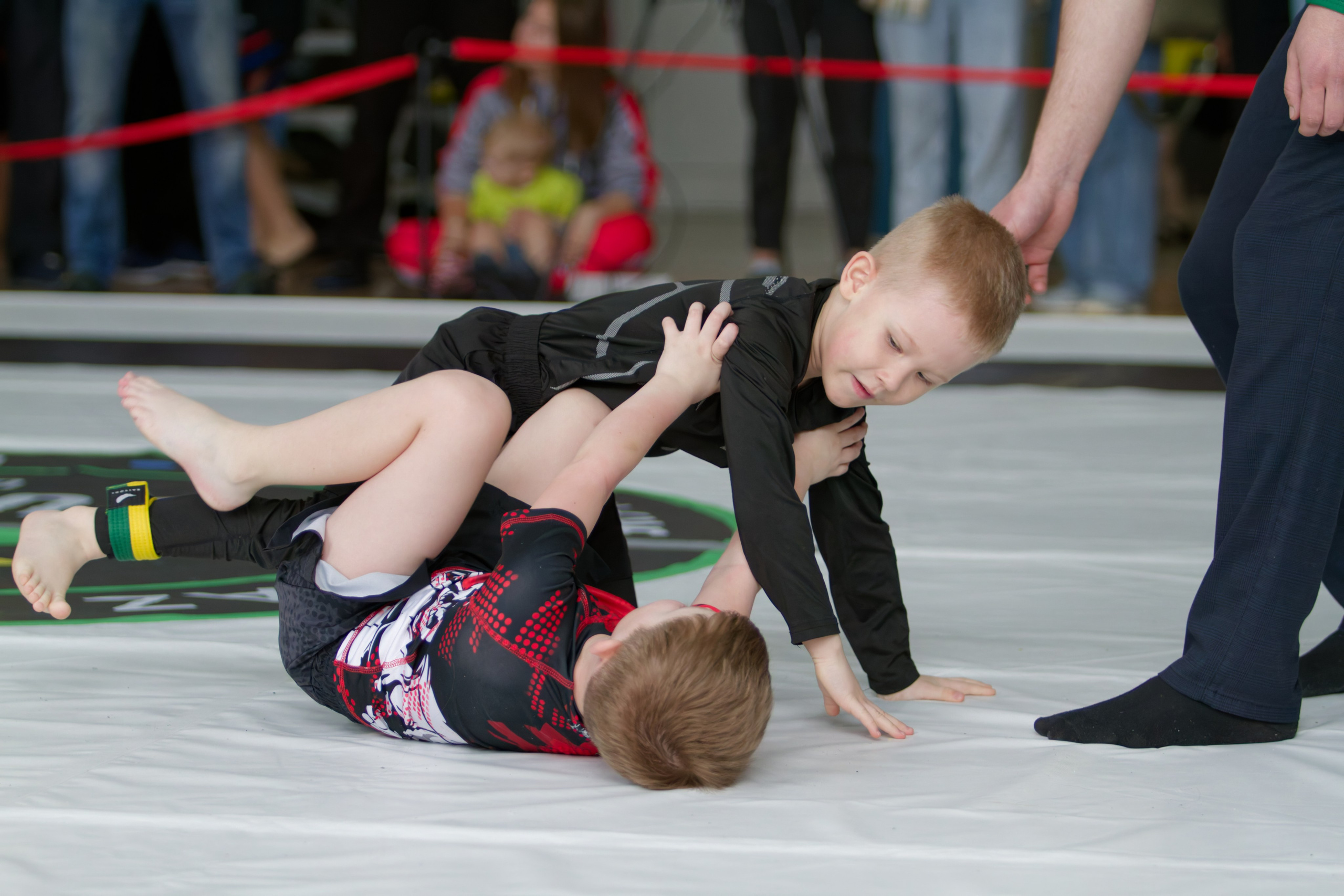 Борьба. Джиу-джитсу 26.04.2025. Репортажный и спортивный фотограф в г. Пермь Зильберг Павел