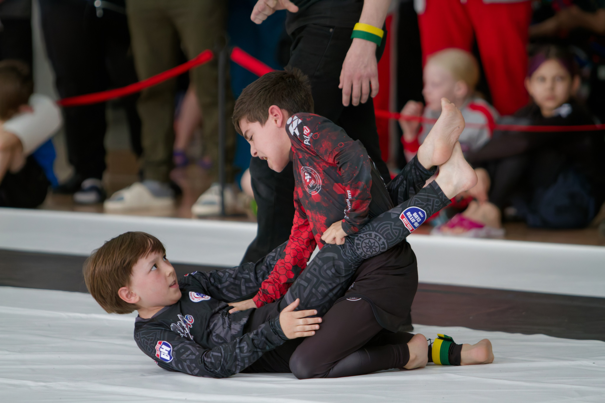 Борьба. Джиу-джитсу 26.04.2025. Репортажный и спортивный фотограф в г. Пермь Зильберг Павел