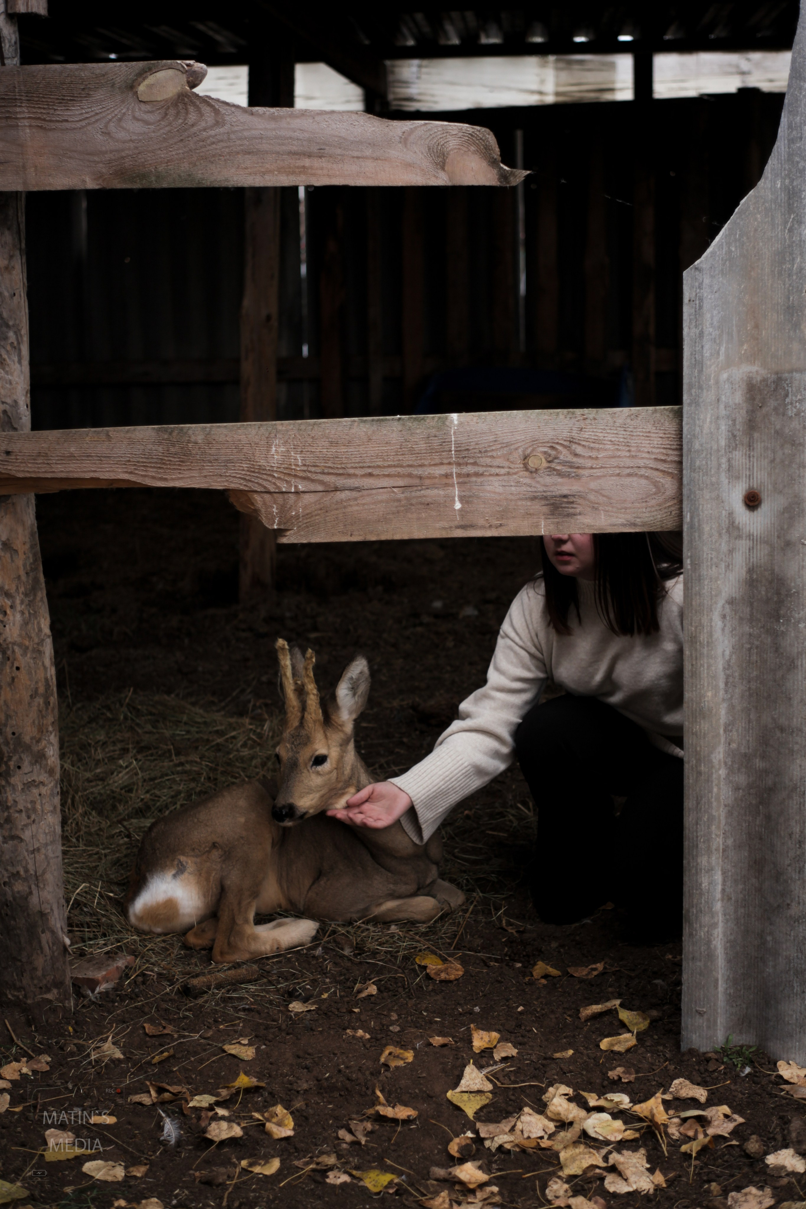 Фотосъемка. Видео и фото съемка в Самаре