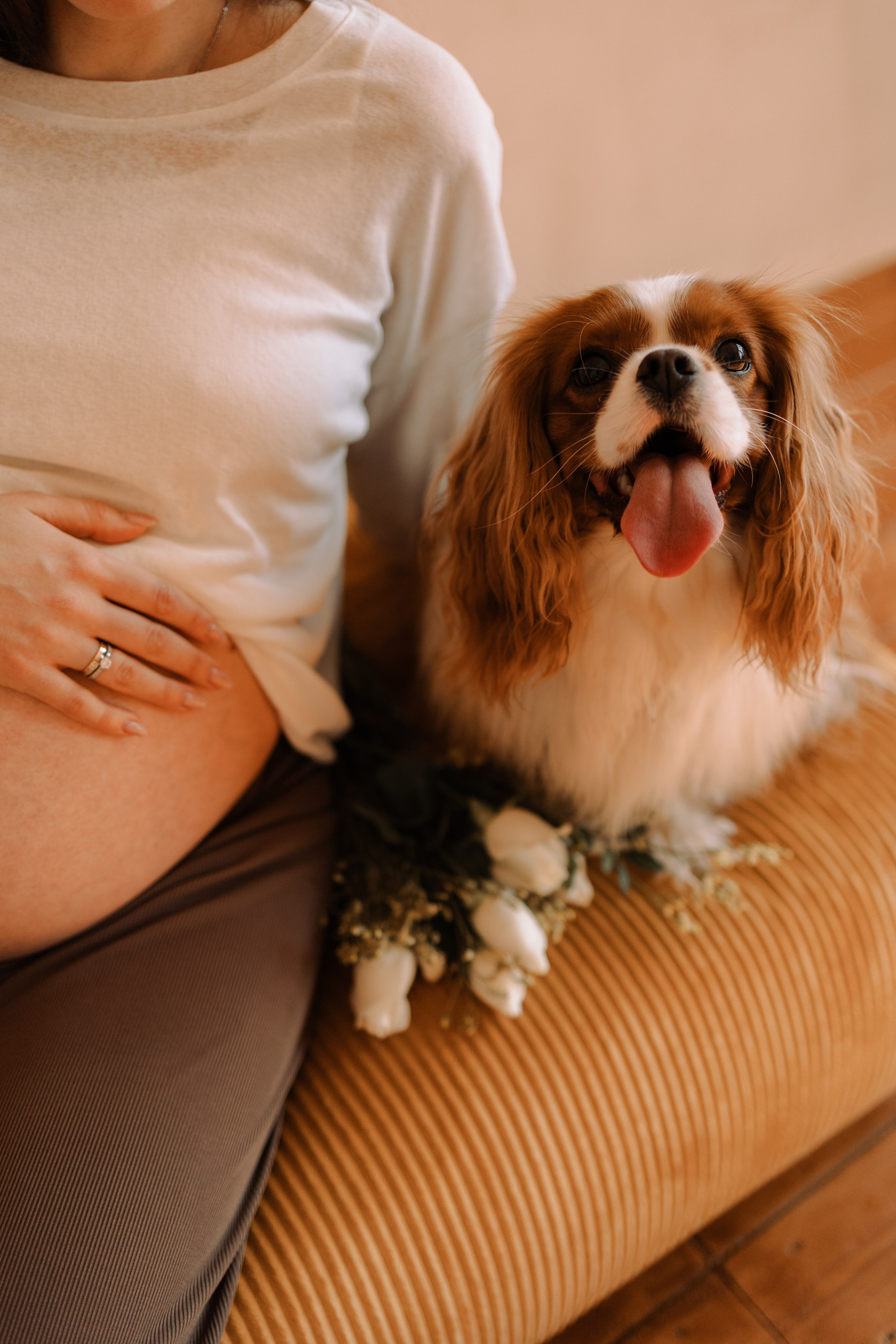 Шерри и ее семья. Фотограф — Анималист | Санкт-Петербург