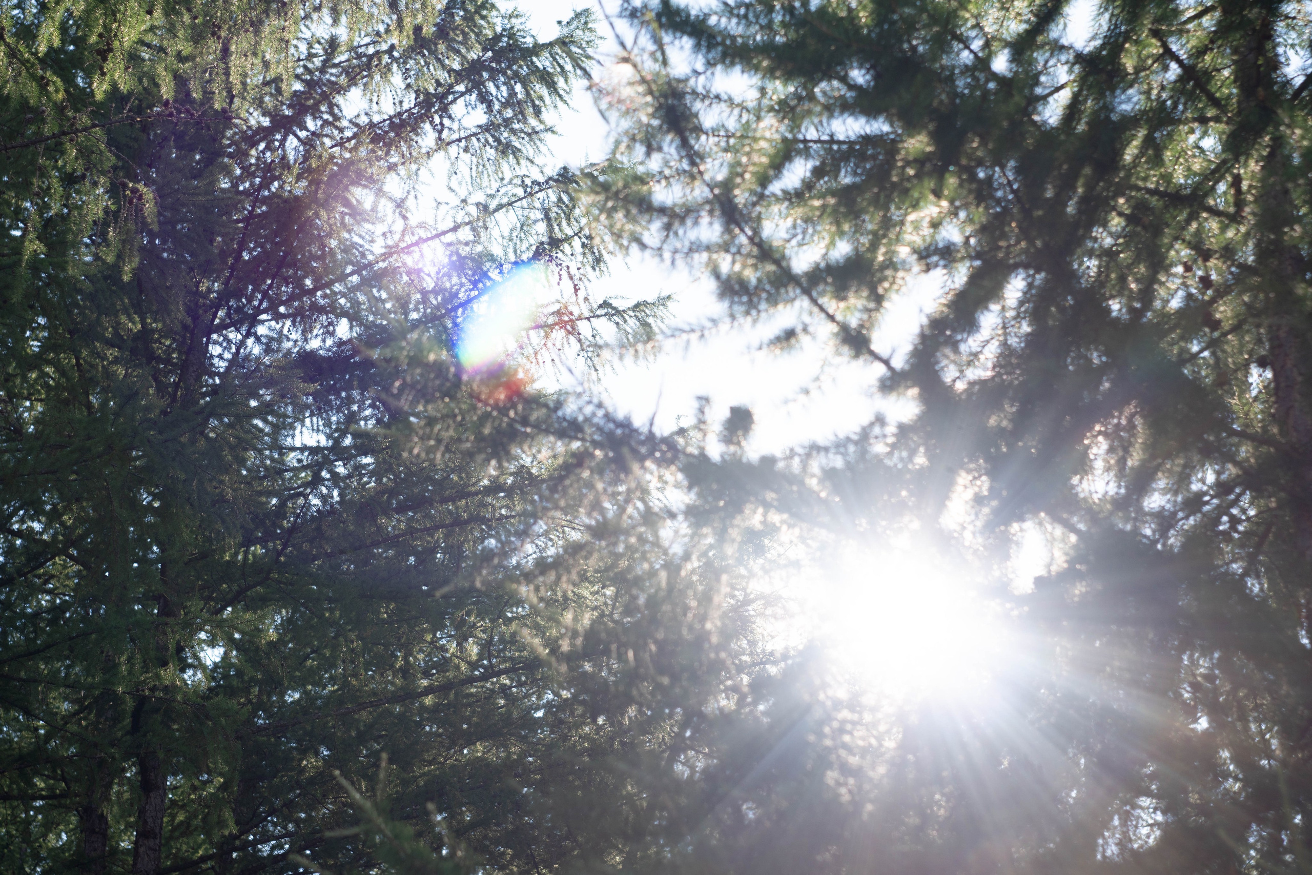 Окинский район, Бурятия. Медиа-портфолио Марии Абрашиной