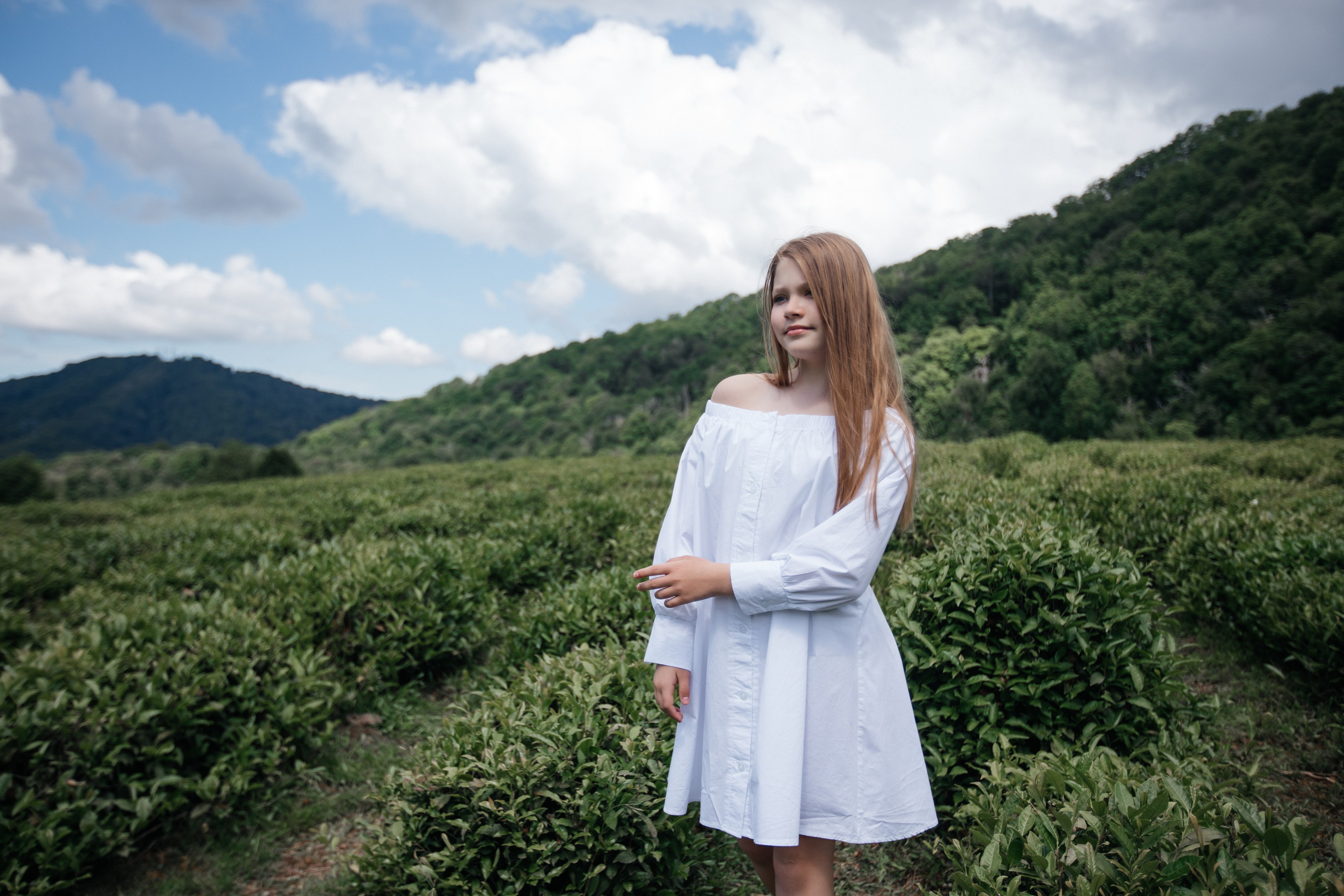 Tea plantation. Efimova Model Agency