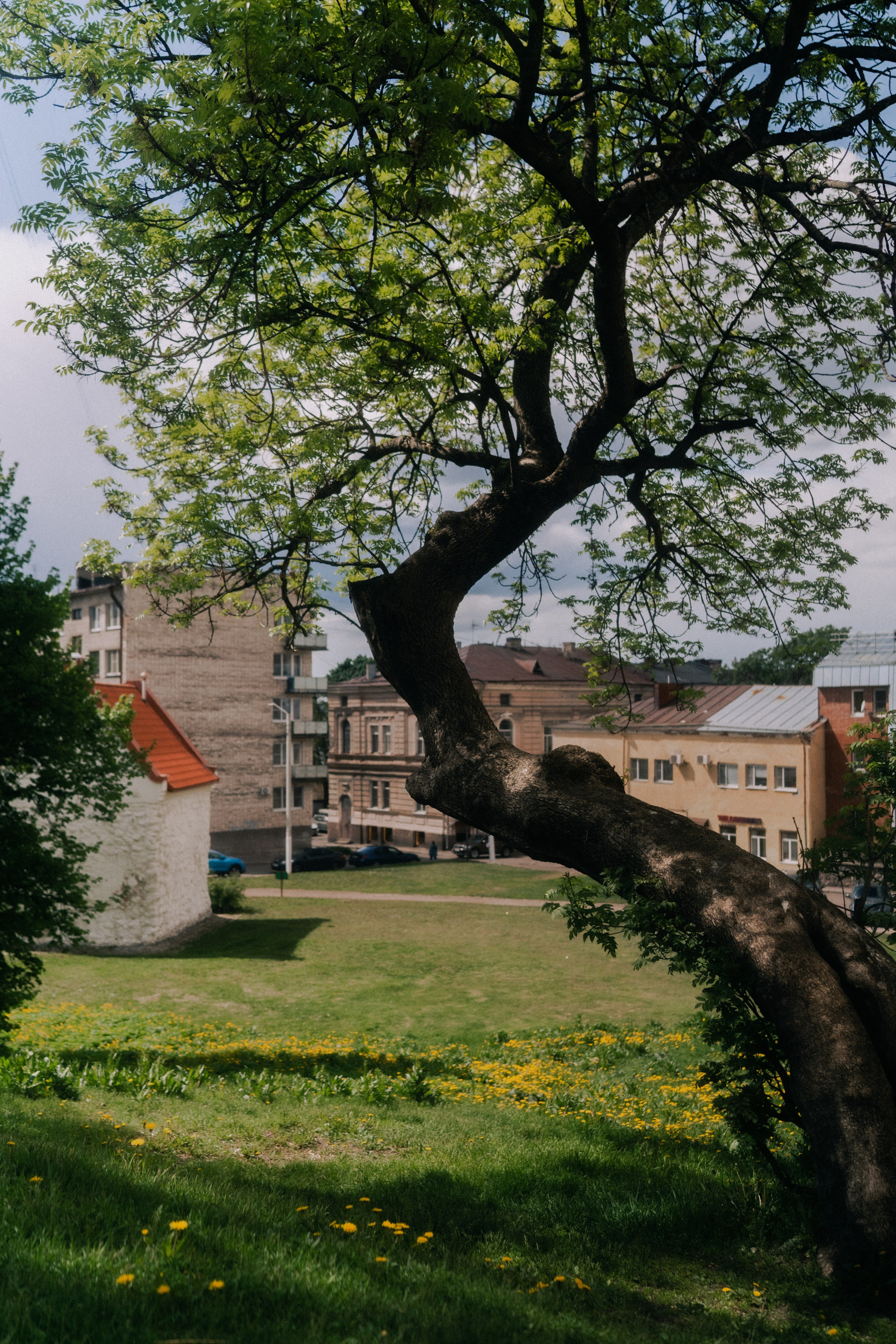 Городская съемка. Кутнов Владислав | Портретная и городская фотосессии | Санкт-Петербург