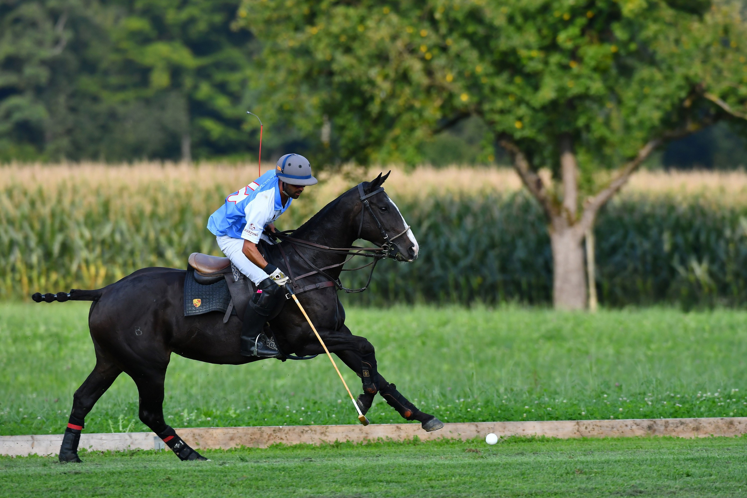 Polo art photos. Art photos of horses — ARTUR BABOEV | Photographer