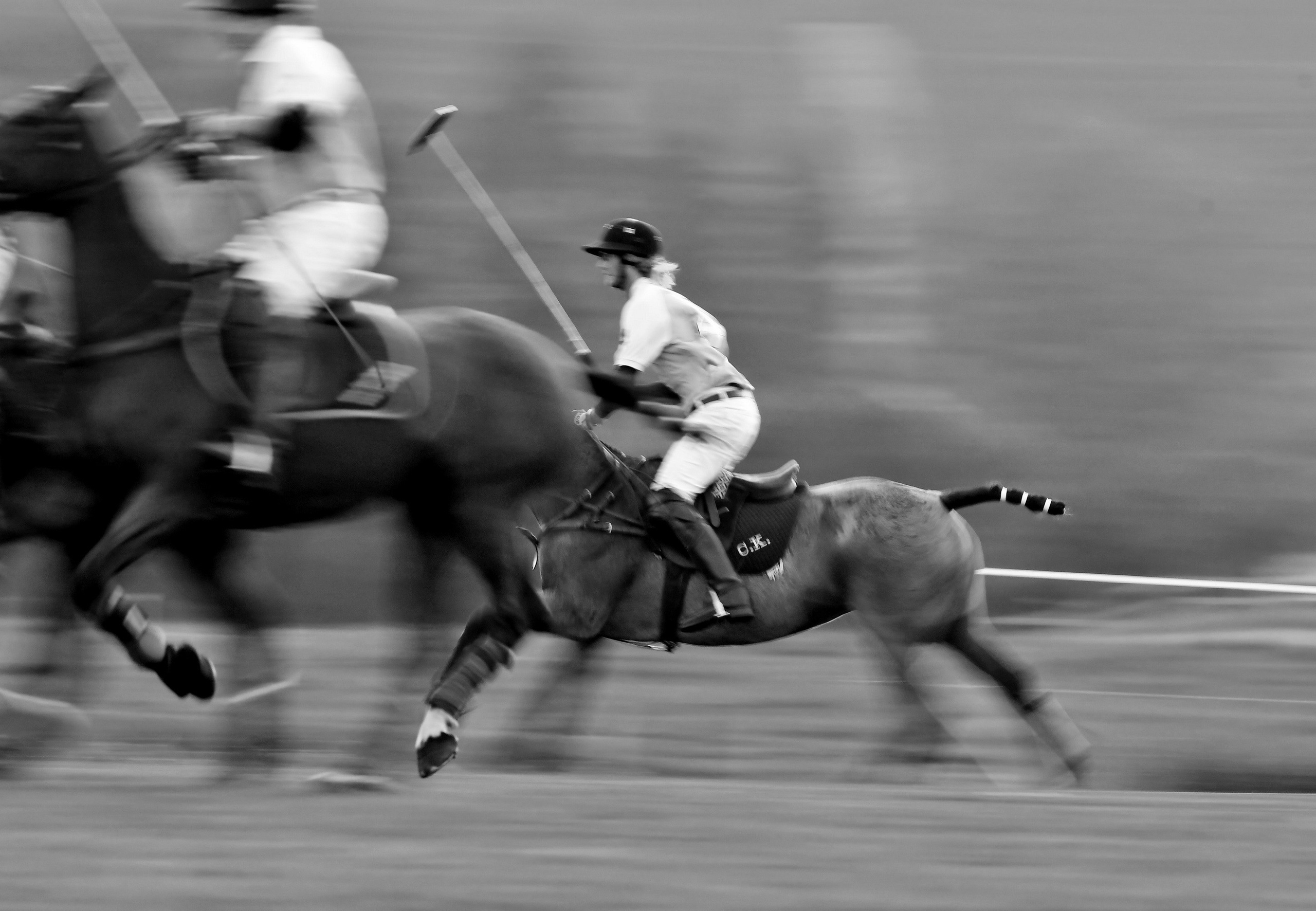 Polo art photos. Art photos of horses — ARTUR BABOEV | Photographer