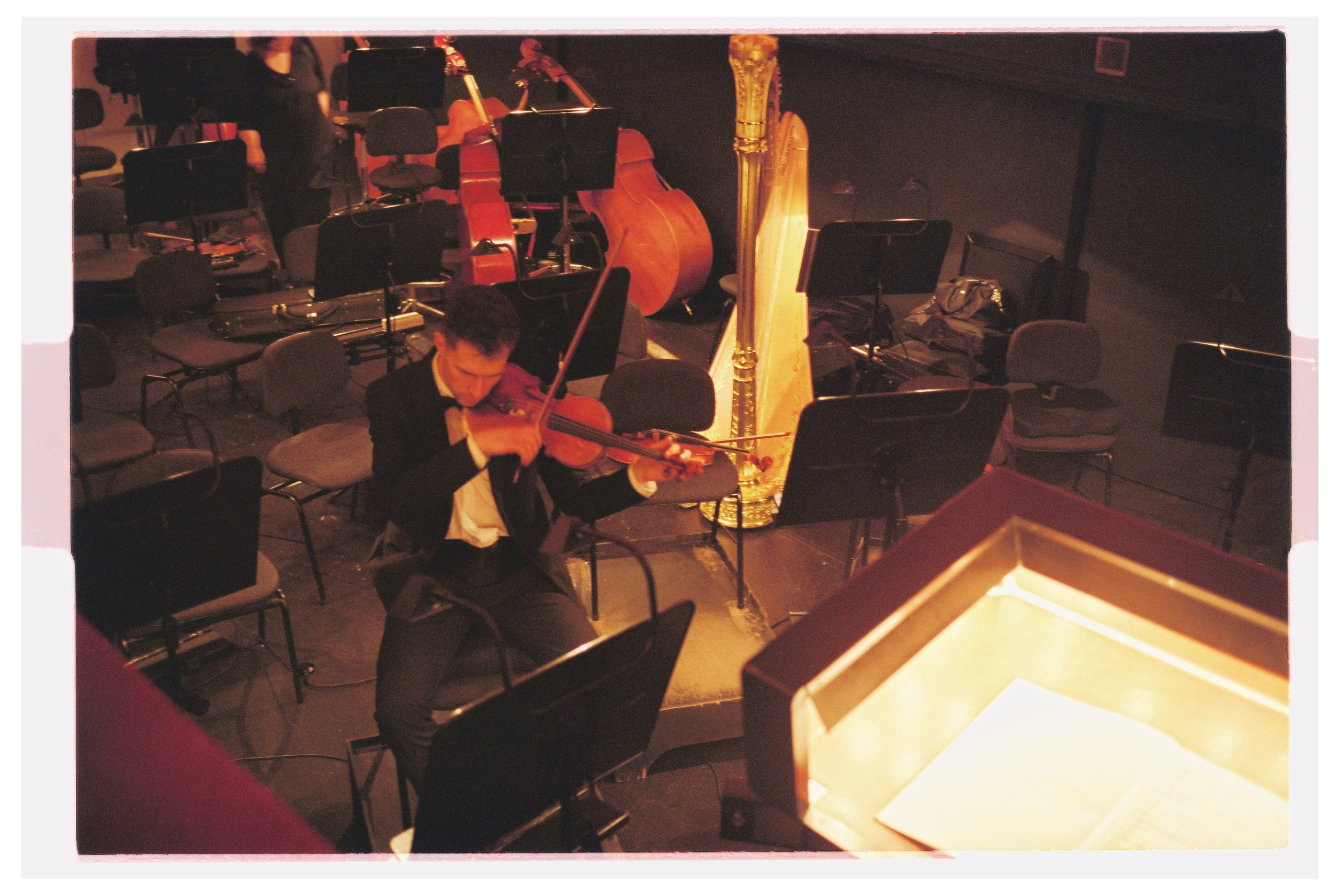 Winter/2025. Regina Platonova