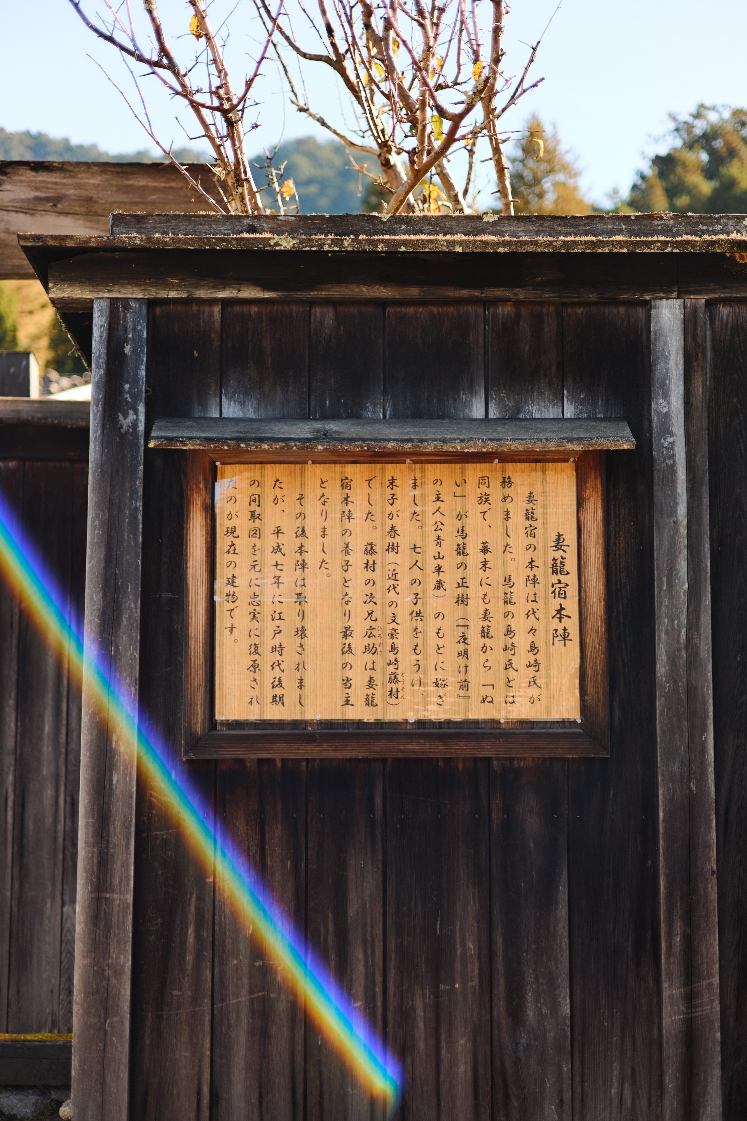 Япония. Профессиональный Фотограф во Владимире, в Москве и в Суздале — Полина Романычева