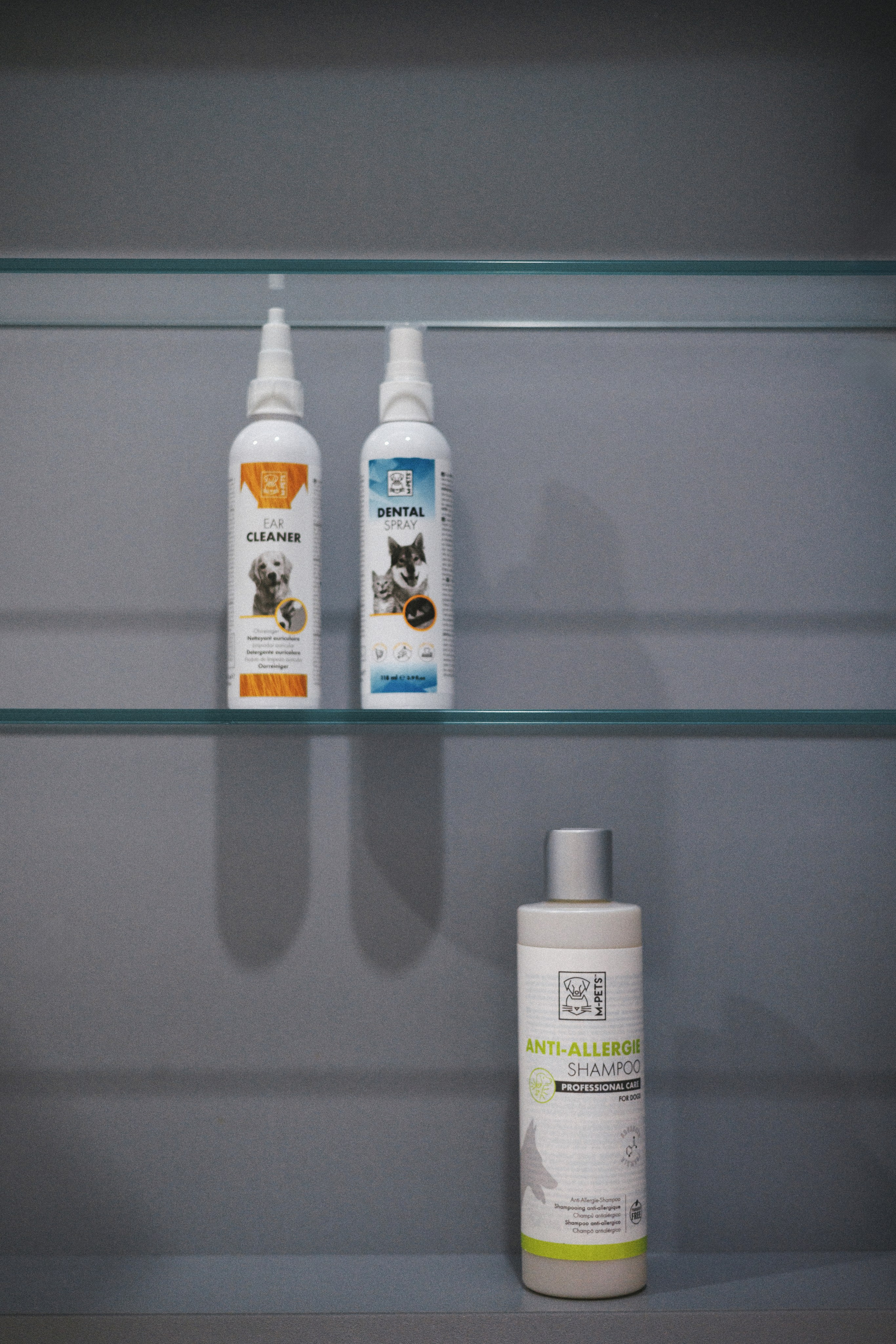 M-Pets. Фотограф анималист Осипчикова Мария