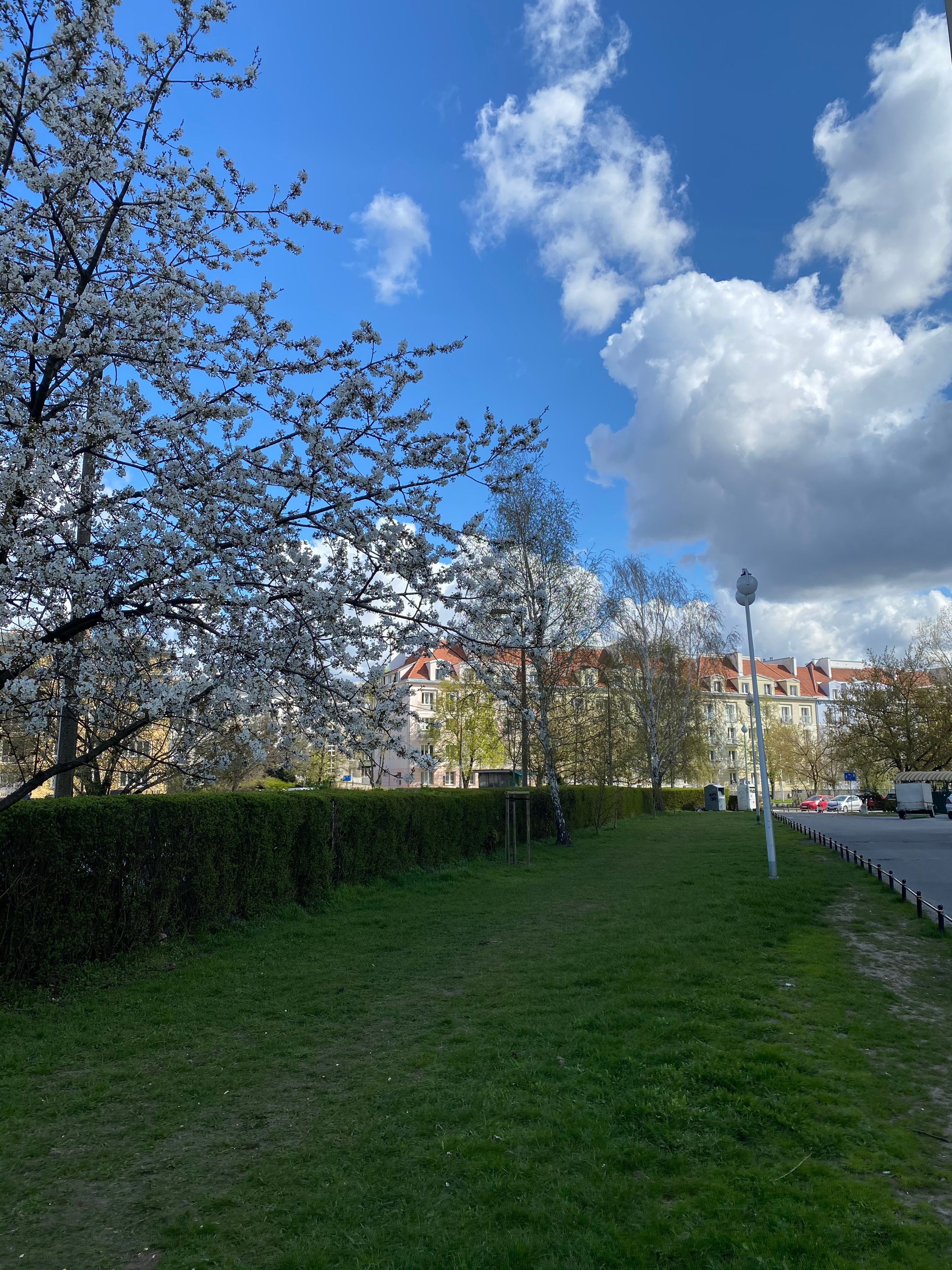 Варшава — 21. Своя Мастерская