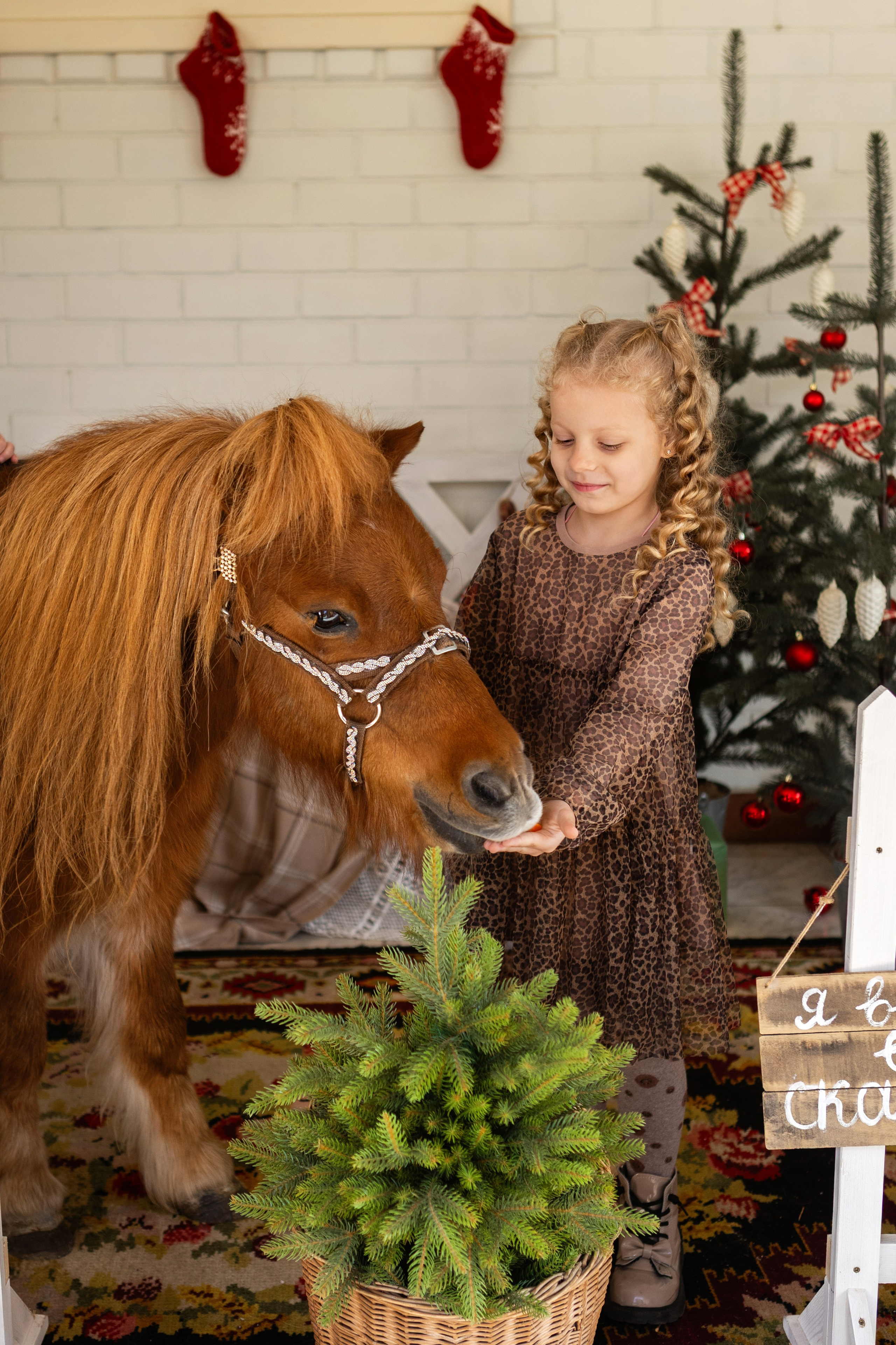 Символ 2026 года «Пони-Бонус». Фотостудия Ольги Сурухановой. Свадебный семейный и детский фотограф в Краснодаре Карина Федоровская
