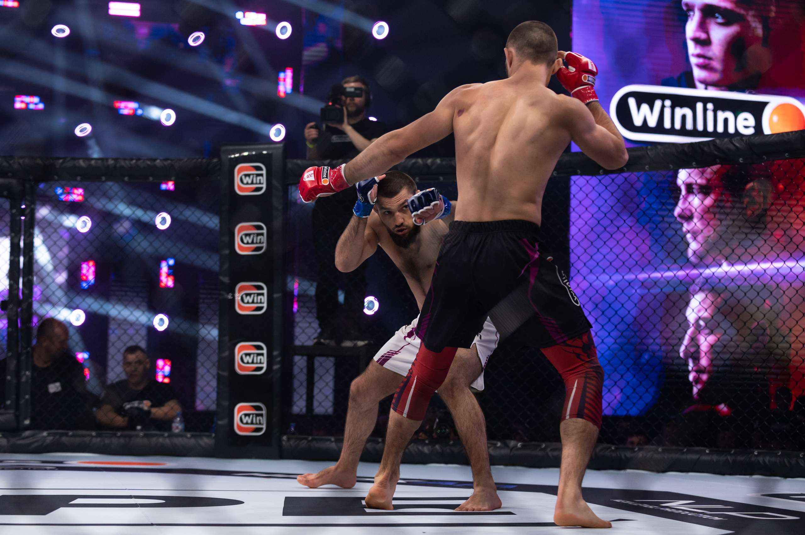 Бои. Репортажный фотограф в Красной Поляне и Сочи Павлюченко Екатерина