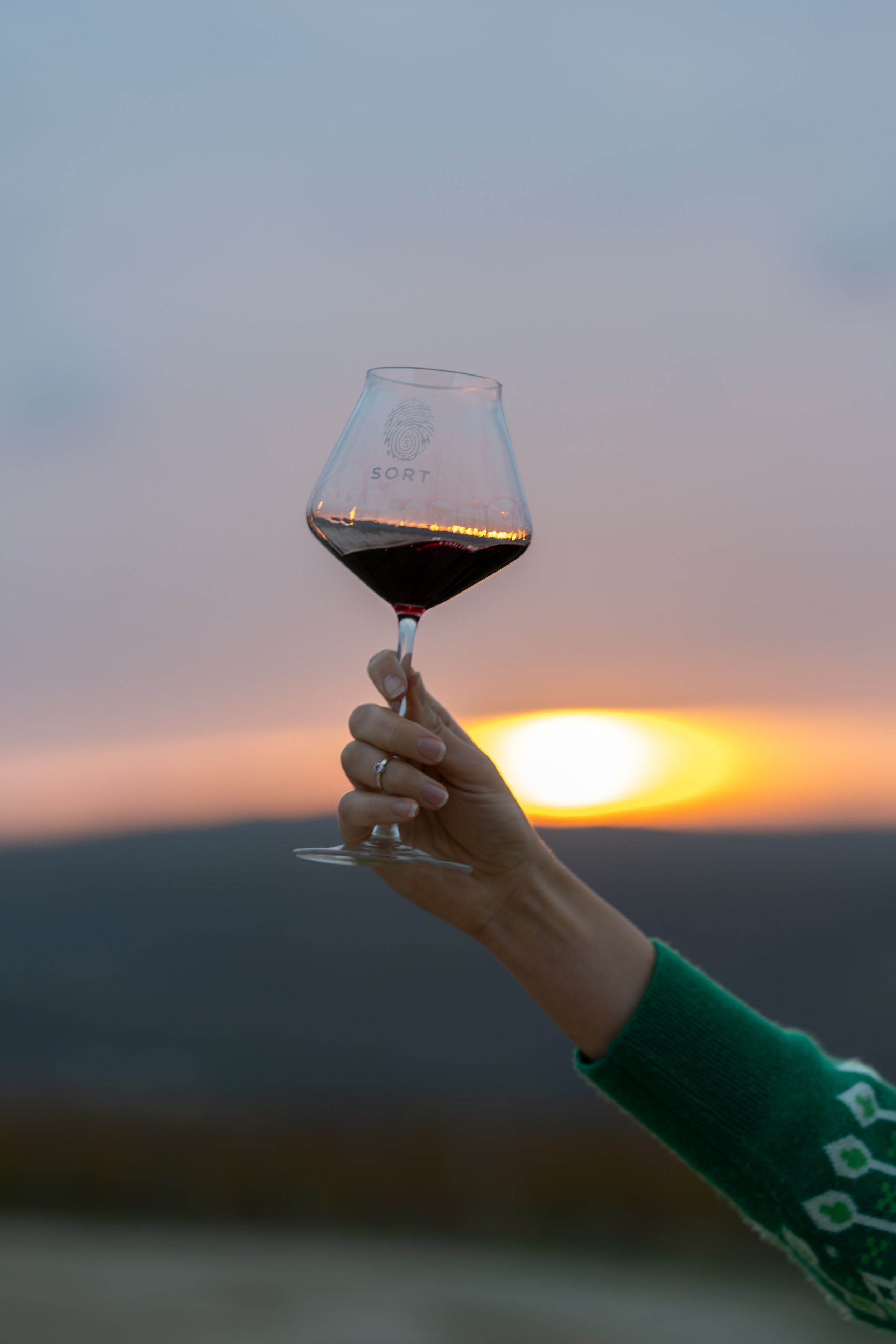 Литературная мастерская с Ольгой Шутовой в «Винотеррии». Репортажный фотограф в Красной Поляне и Сочи Павлюченко Екатерина