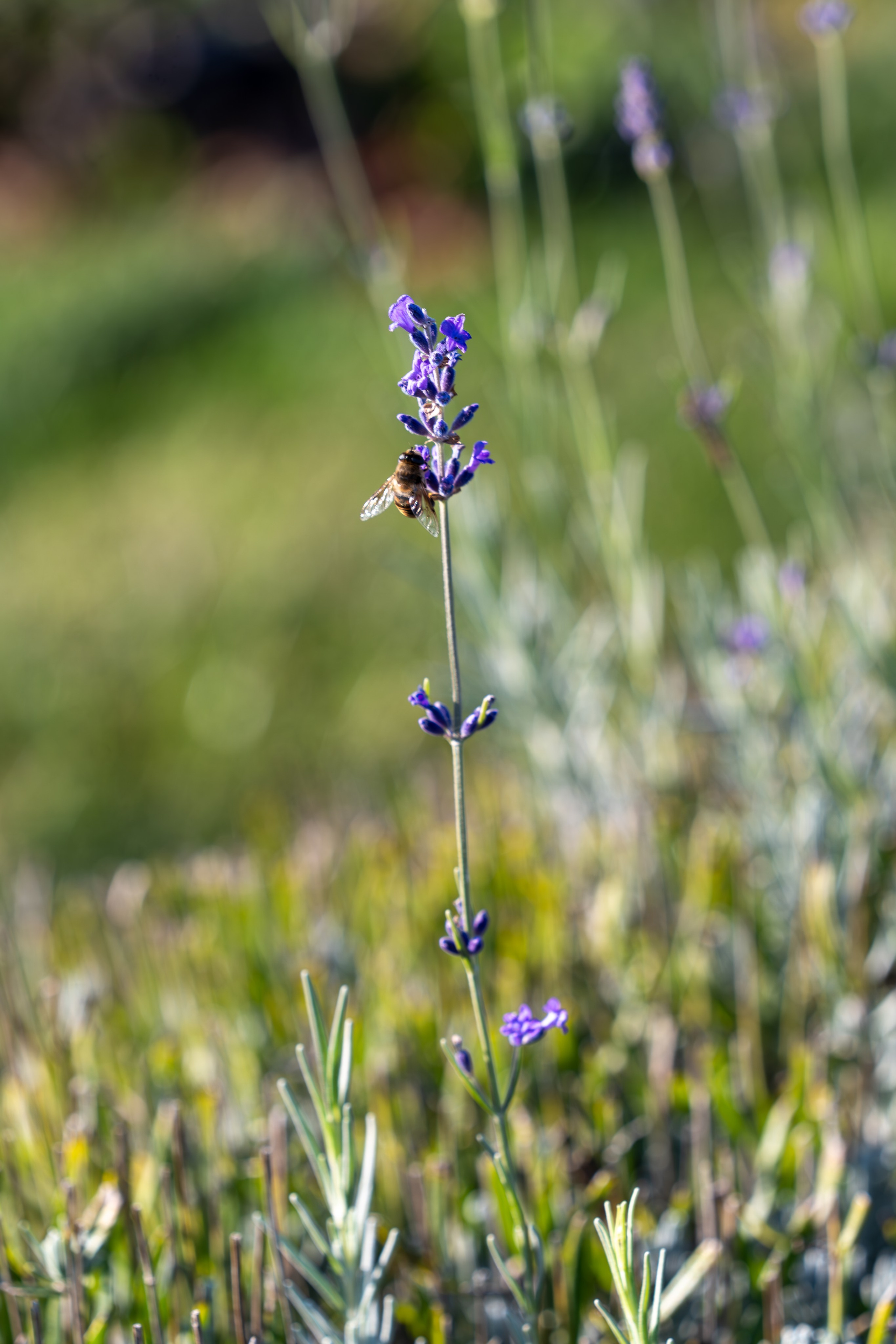 Литературная мастерская с Ольгой Шутовой в «Винотеррии». Репортажный фотограф в Красной Поляне и Сочи Павлюченко Екатерина