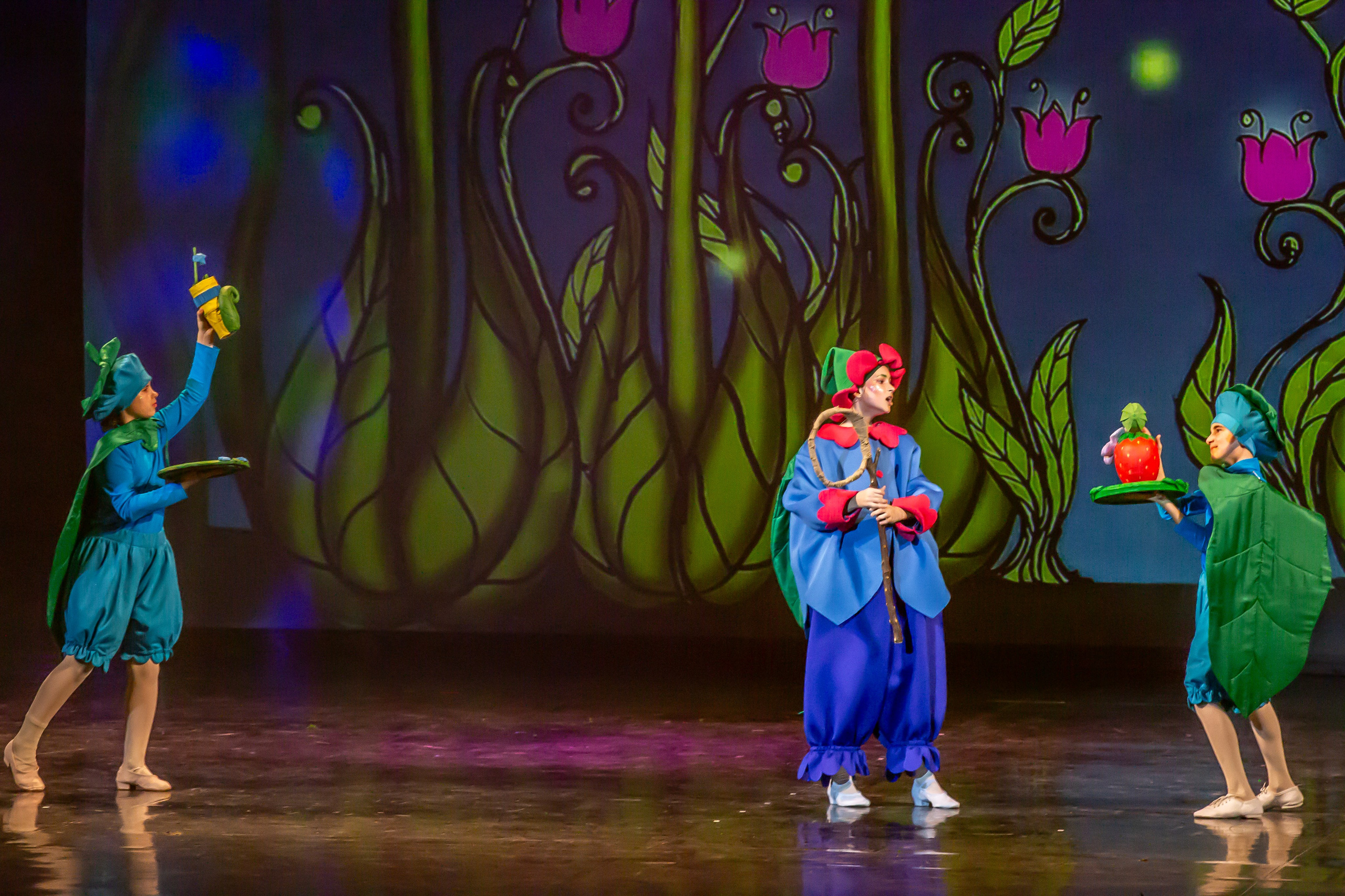 Мюзикл «Незнайка в царстве малюток» премьера Сочи солнышки и Сочи Соло. Фотограф в Сочи Юрий Шептаев