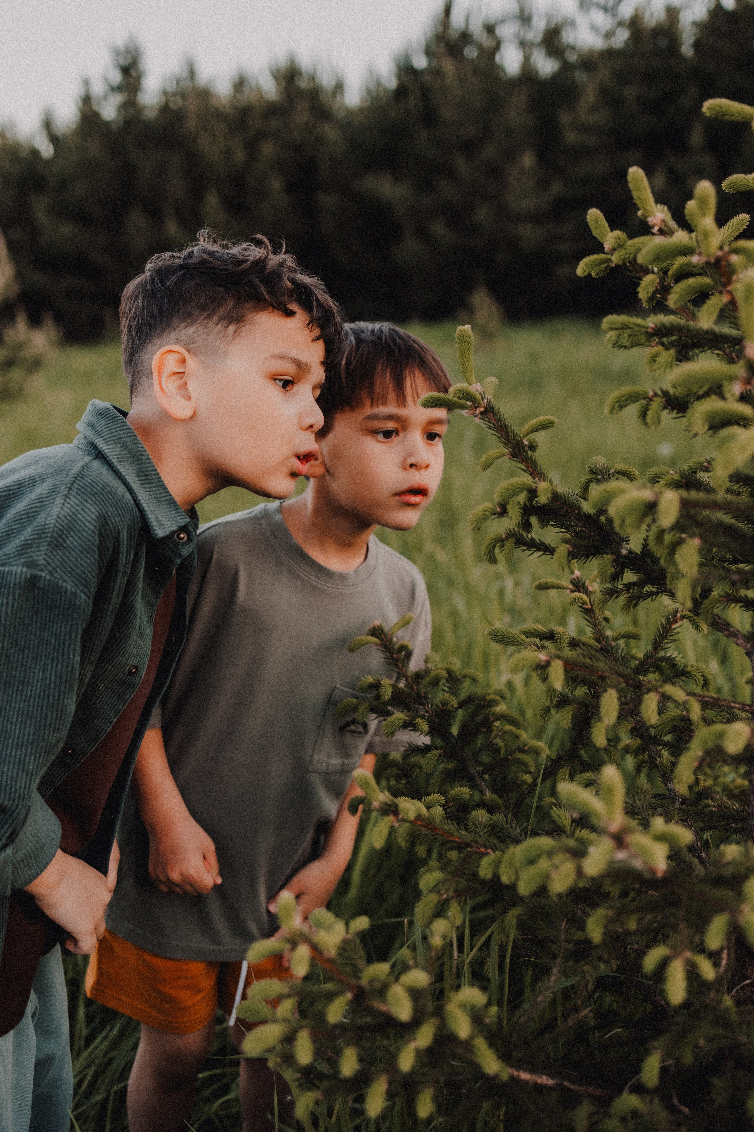 Руслан и Тимур 3. Семейный фотограф Москва