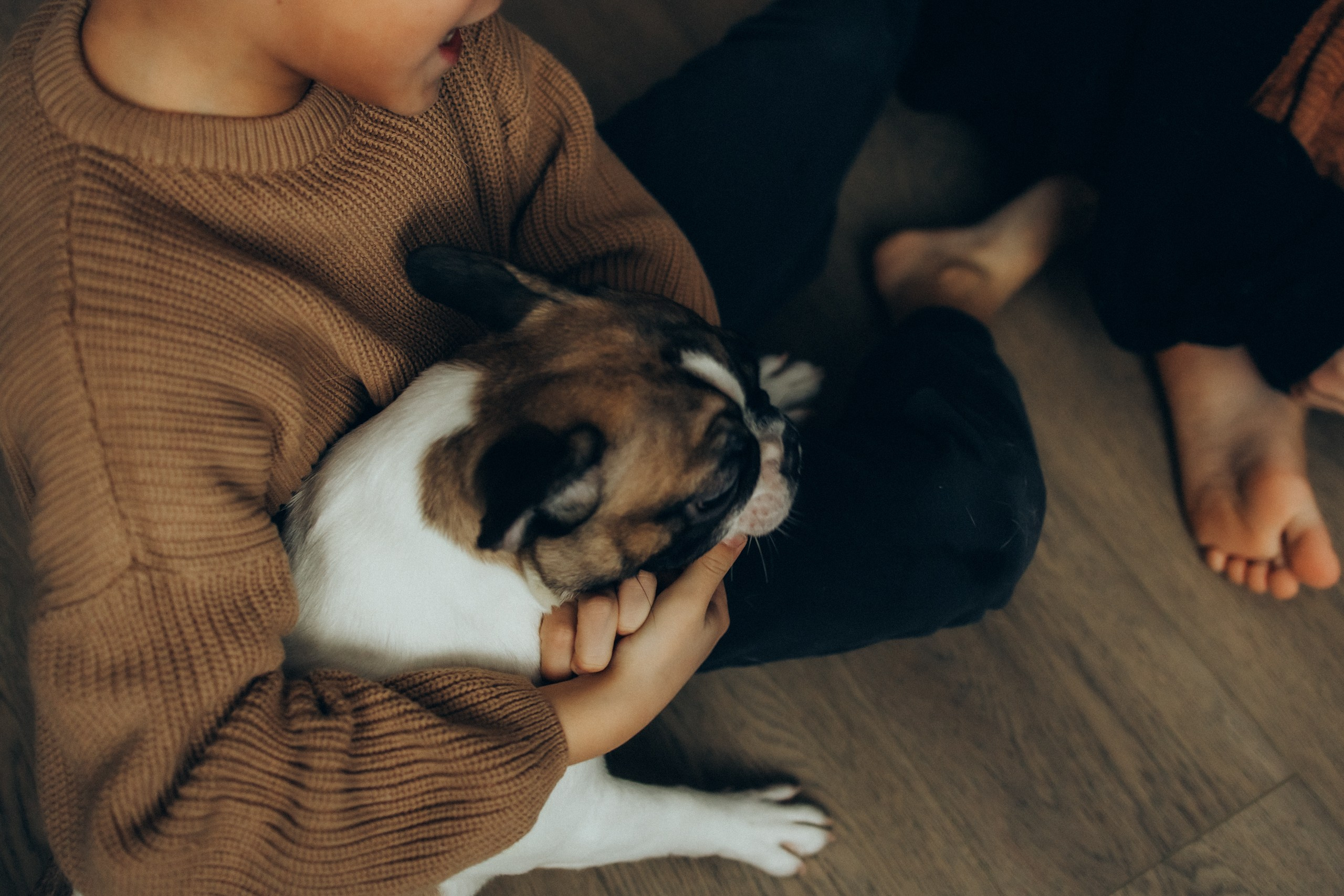 Руслан, Тимур и Луна. Семейный фотограф Москва