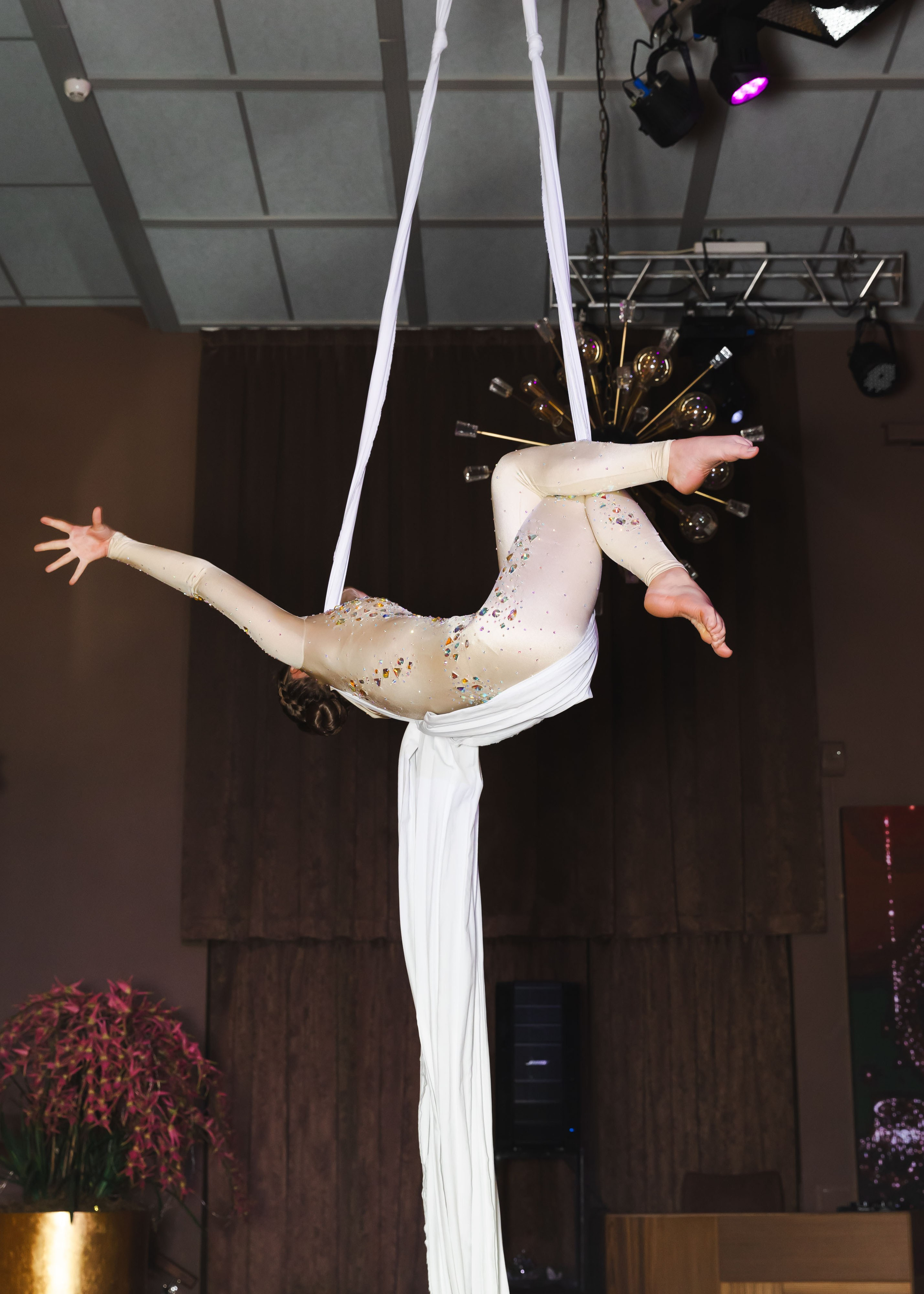 Предновгодка Кипарис 2024. ФОТОГРАФ ВИНОГРАДОВА ДАРЬЯ