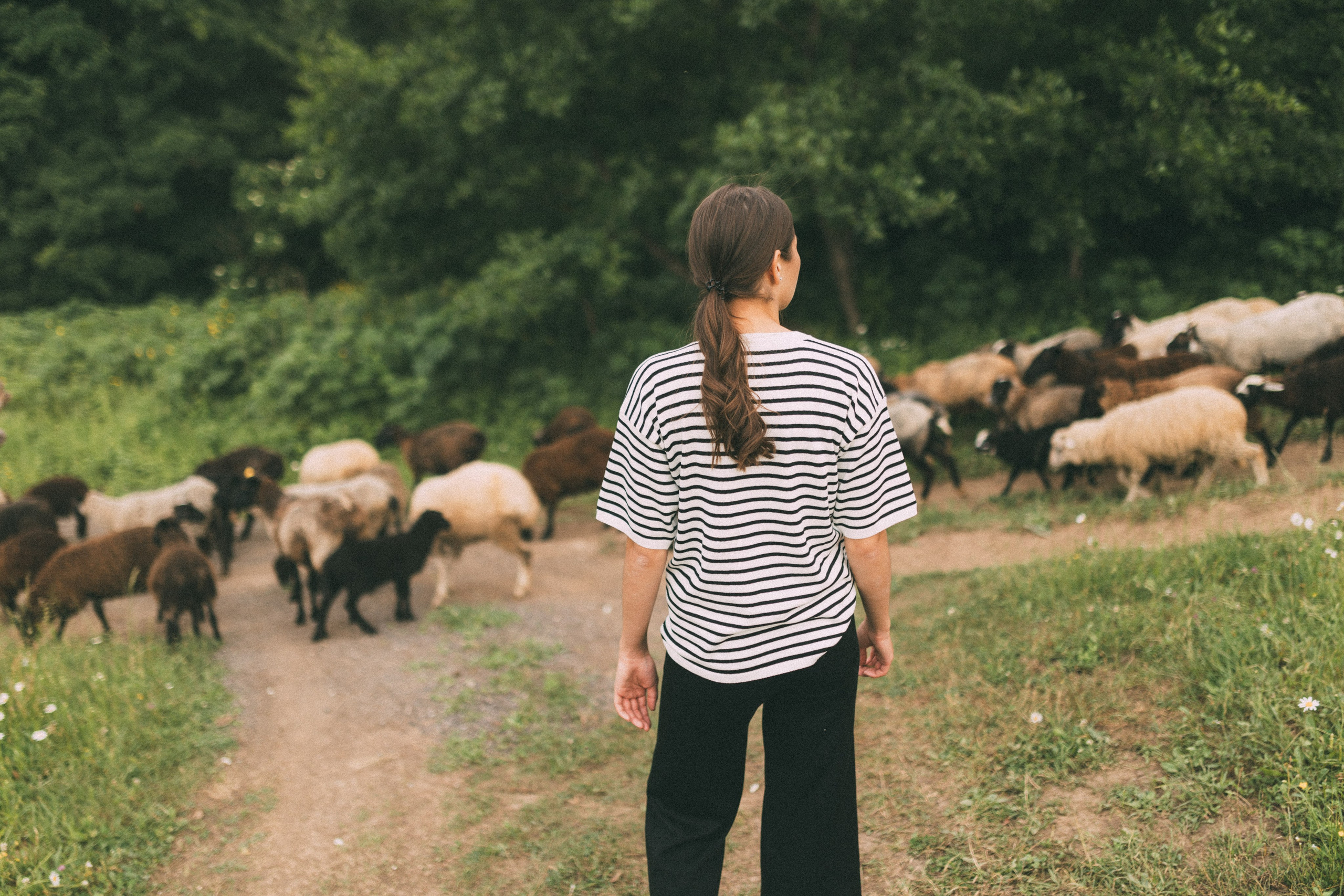 The Way. Главная