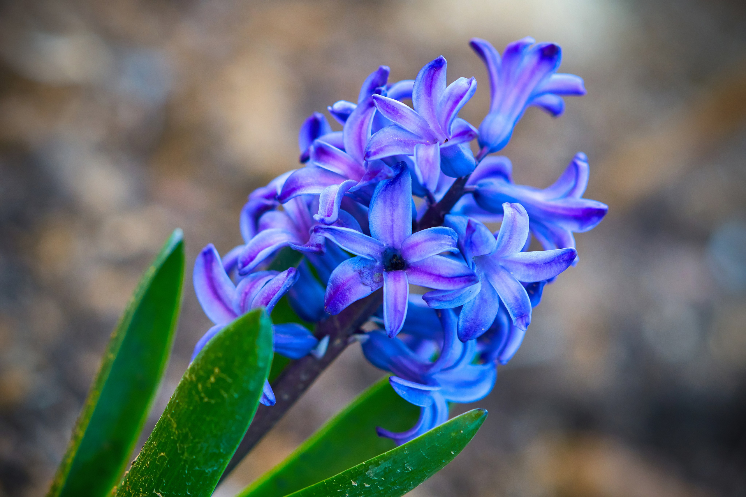 Наша мать — природа. Фотограф Владимир Артамонов