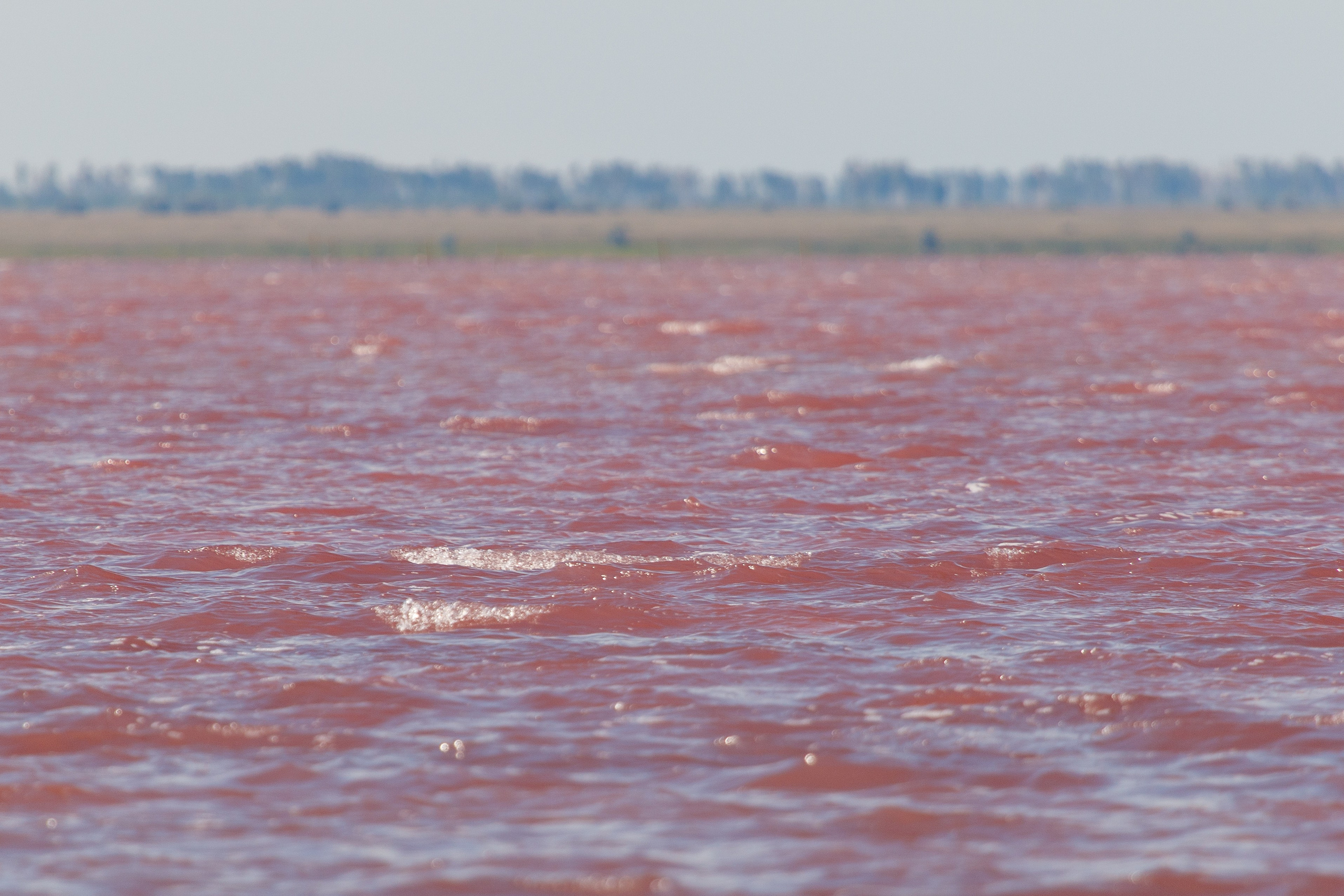 Фототур Бурсоль. Фотограф Кирилл Мешков Кемерово