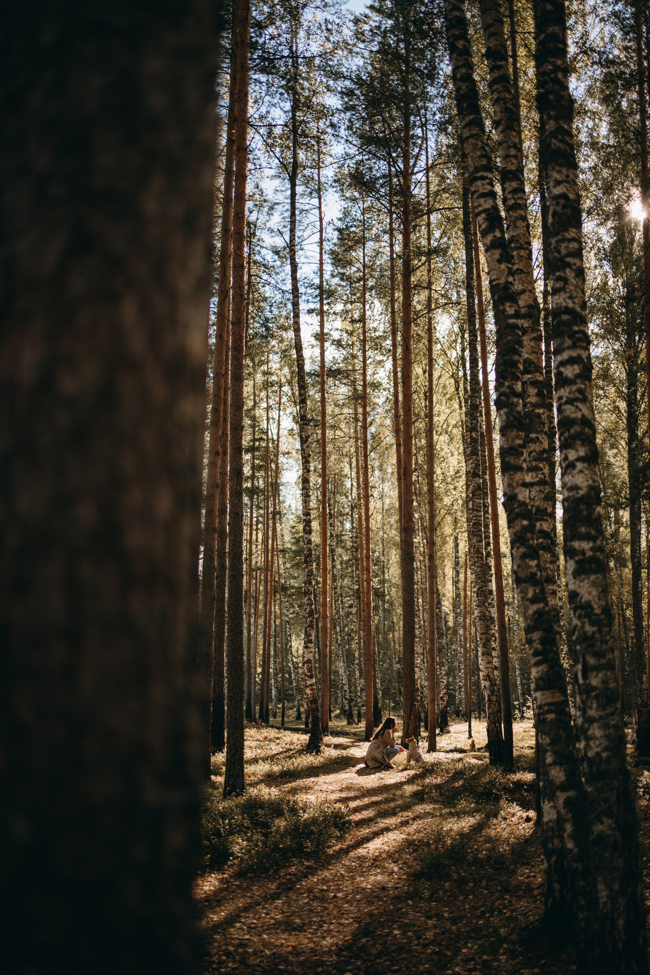 Алиса и Лео. Фотограф — Анималист | Санкт-Петербург