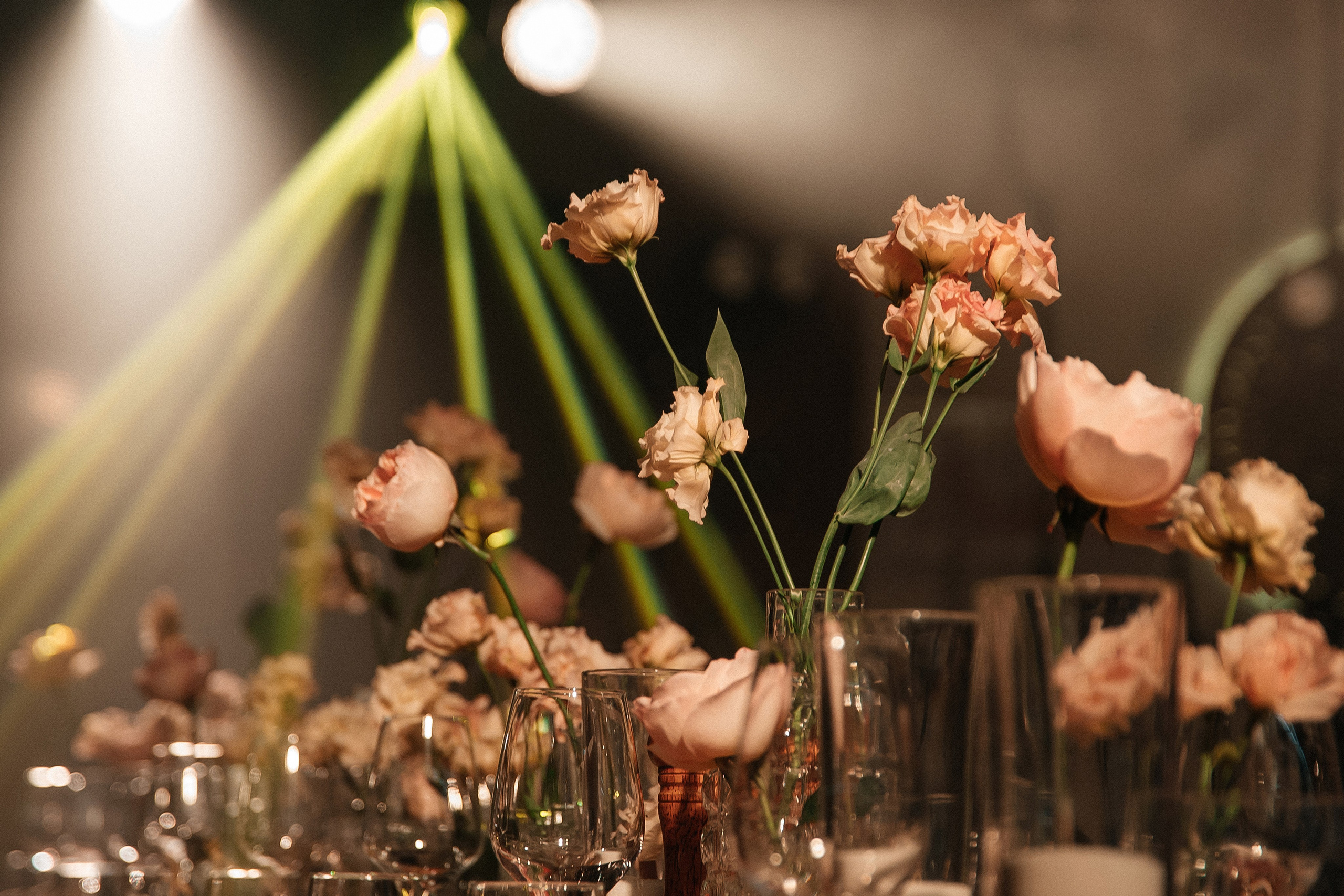 ANONS. Мария — Свадебный фотограф