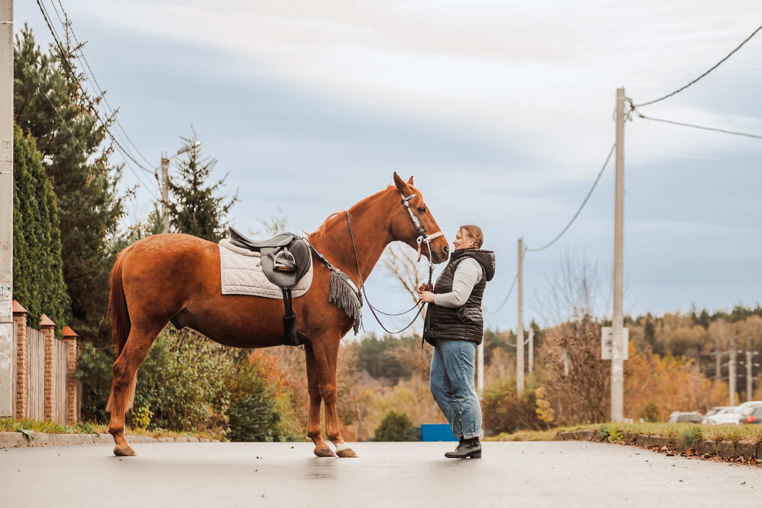 Лена и Рэджи. Фотограф-анималист Татьяна Степанова