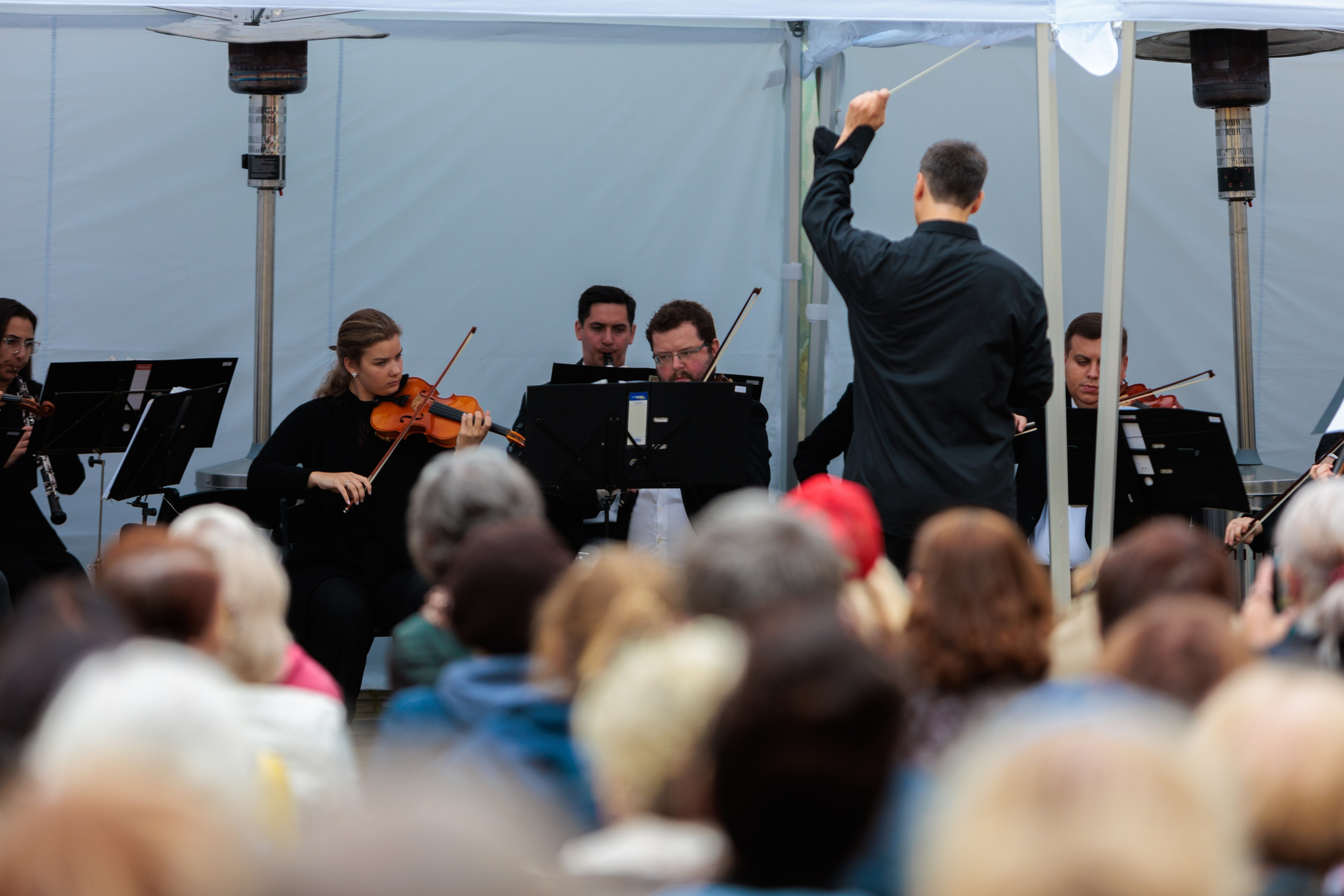 Концерт малого симфонического оркестра. Репортажный фотограф Санкт-Петербург | Роман Карбышев
