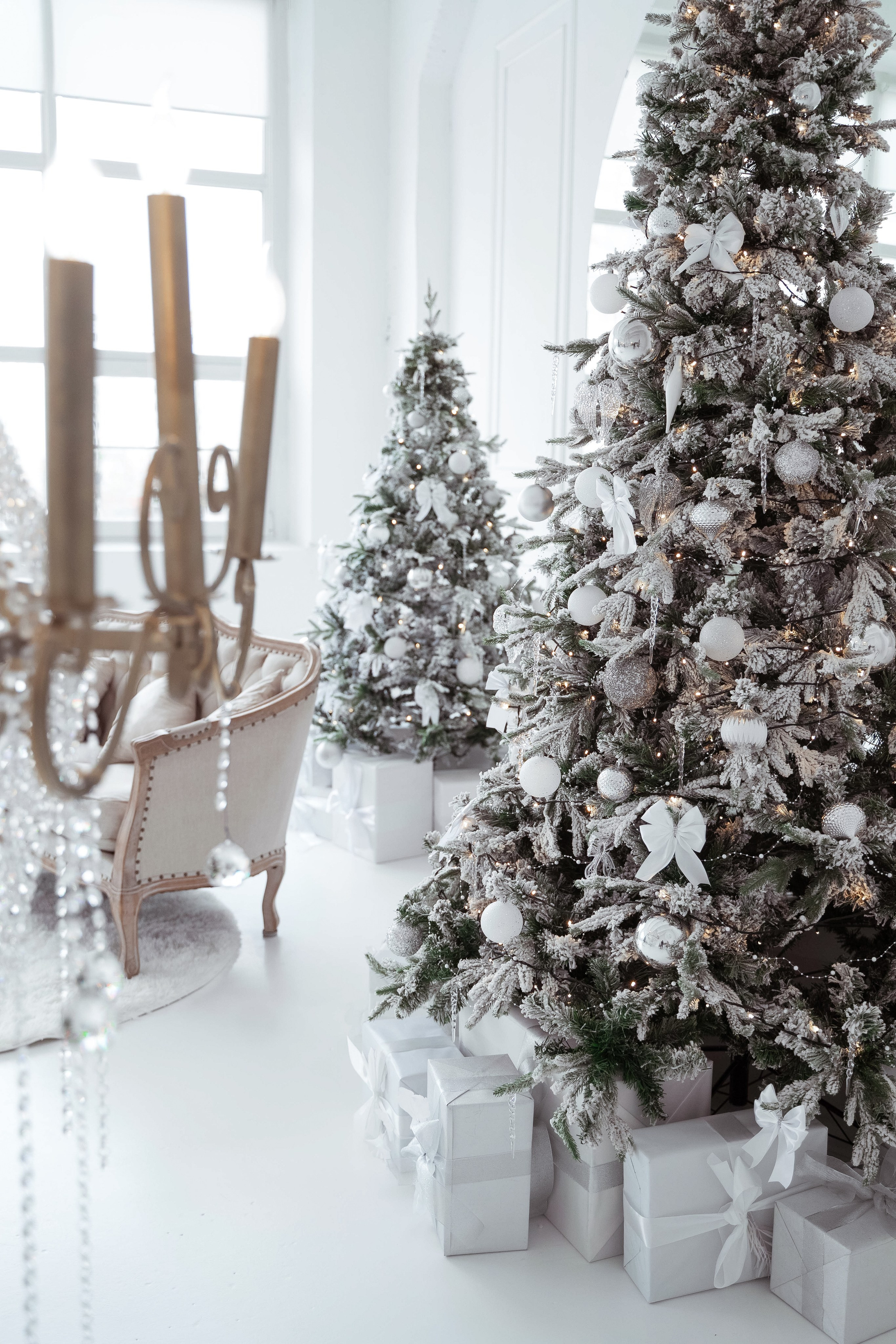 Зал Ренессанс. Фотограф г. Хабаровск. Семейные и индивидуальные съёмки