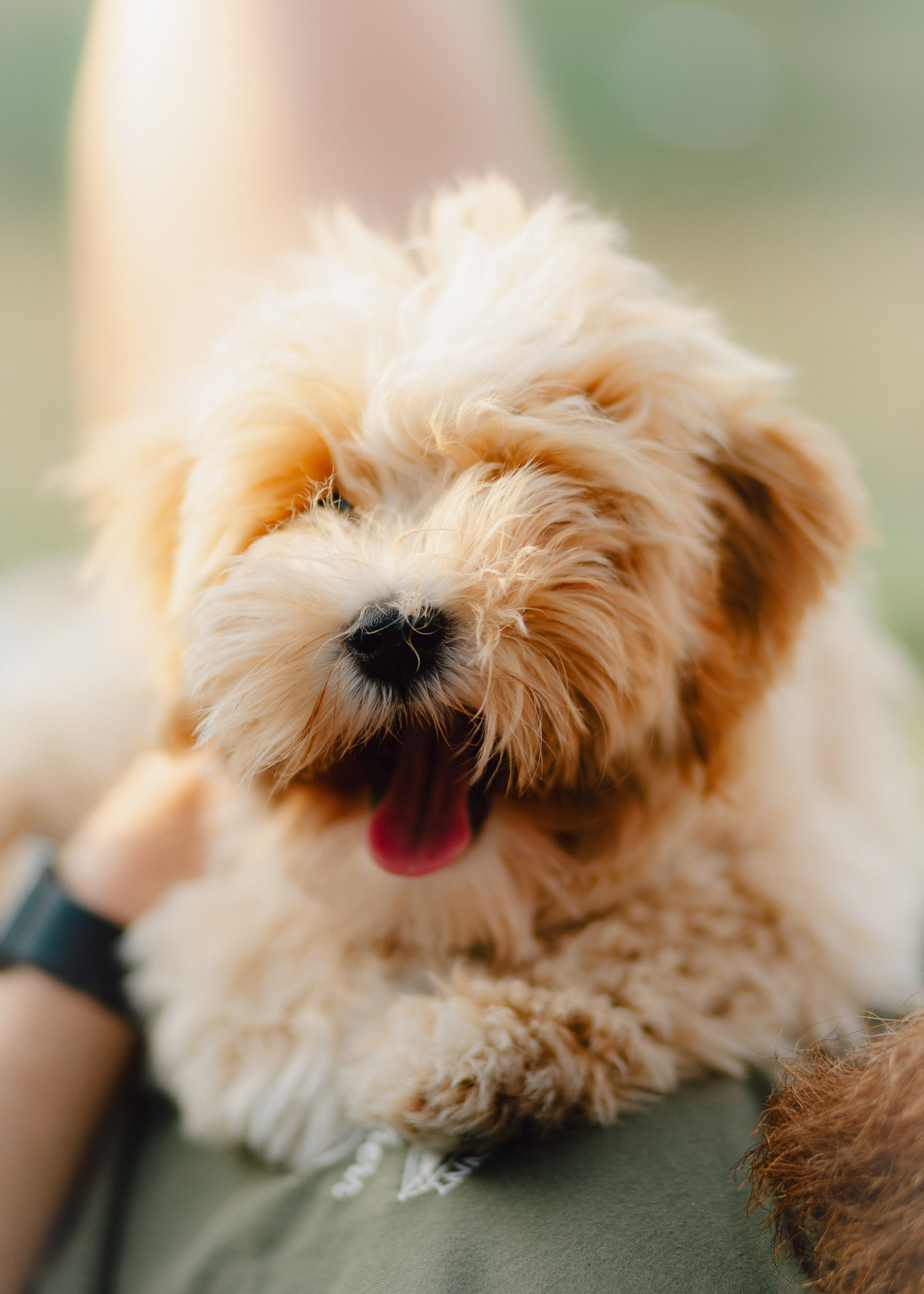 J&J Family. Barbara Isaeva