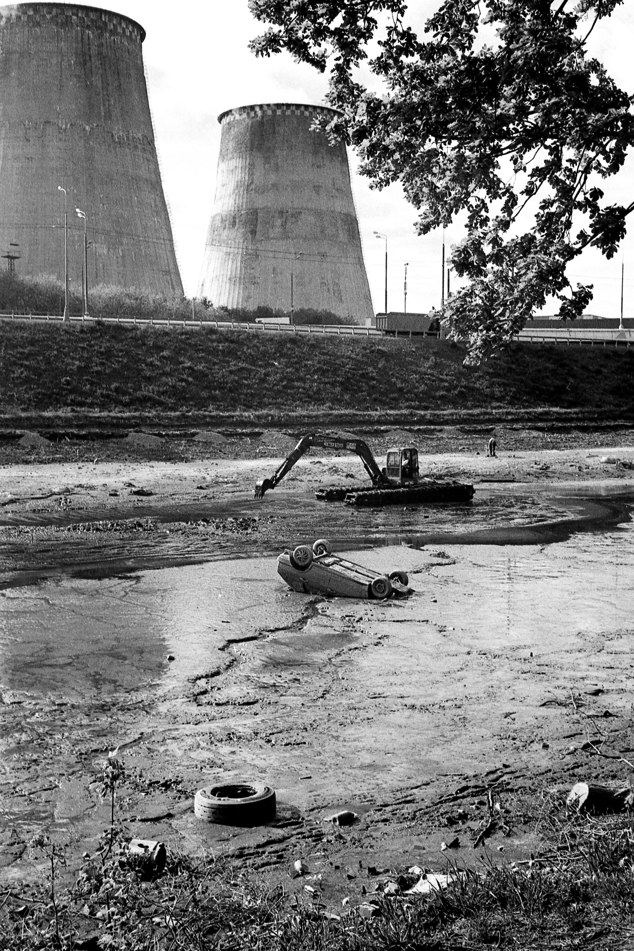 Автор: Серёжа Цюцюра