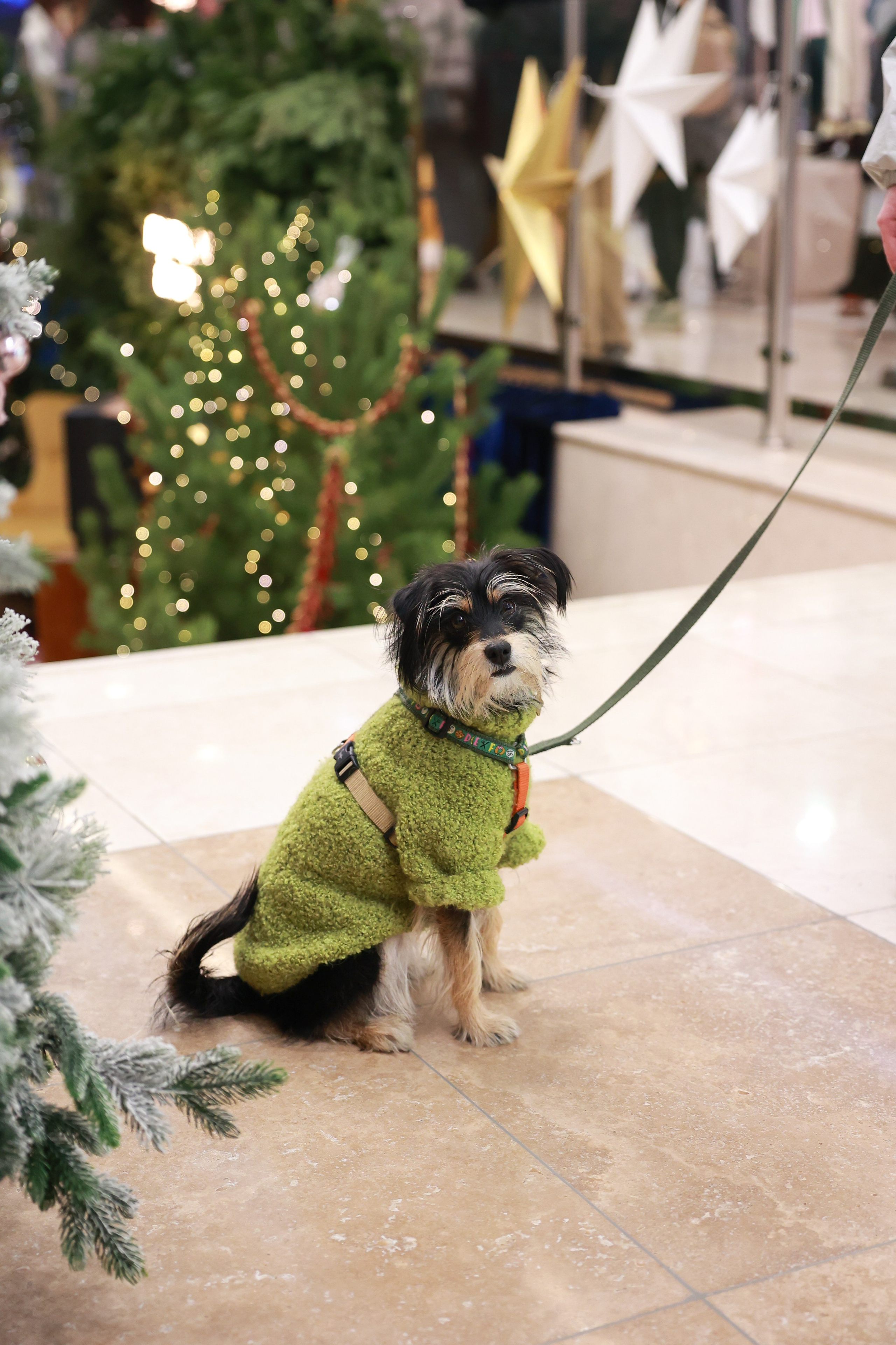 20–21 декабря 2025 Pop-up в Lotte Plaza / фото Саша Жукова. Фотоотчеты «Ламбада-маркета»