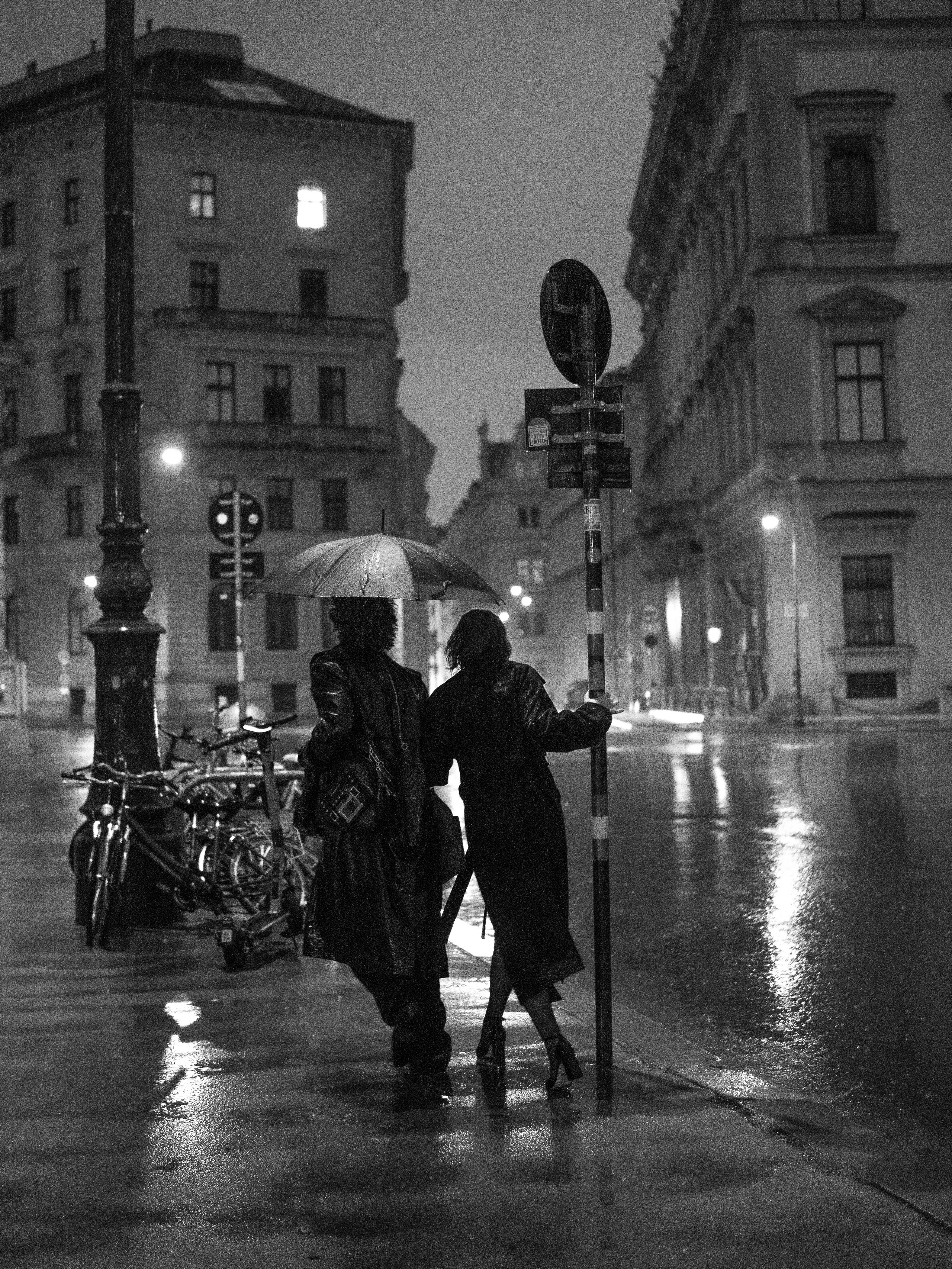 In the night. Frojul