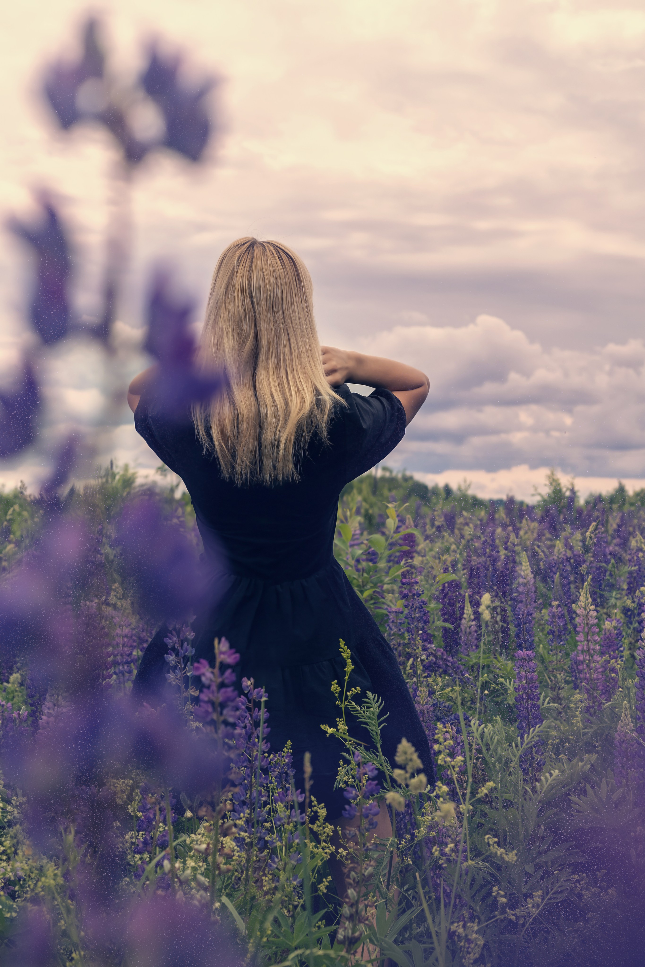 Люпины. Фотограф Нина Пашина — Пермь