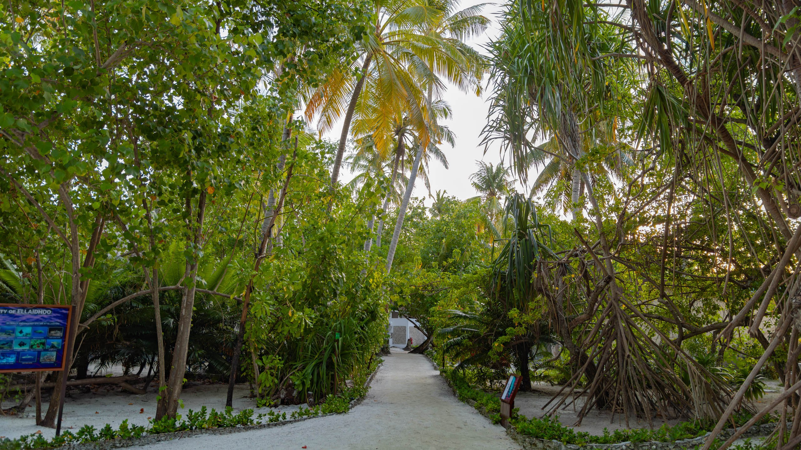 Мальдивы, Ellaidhoo Maldives by Cinnamon