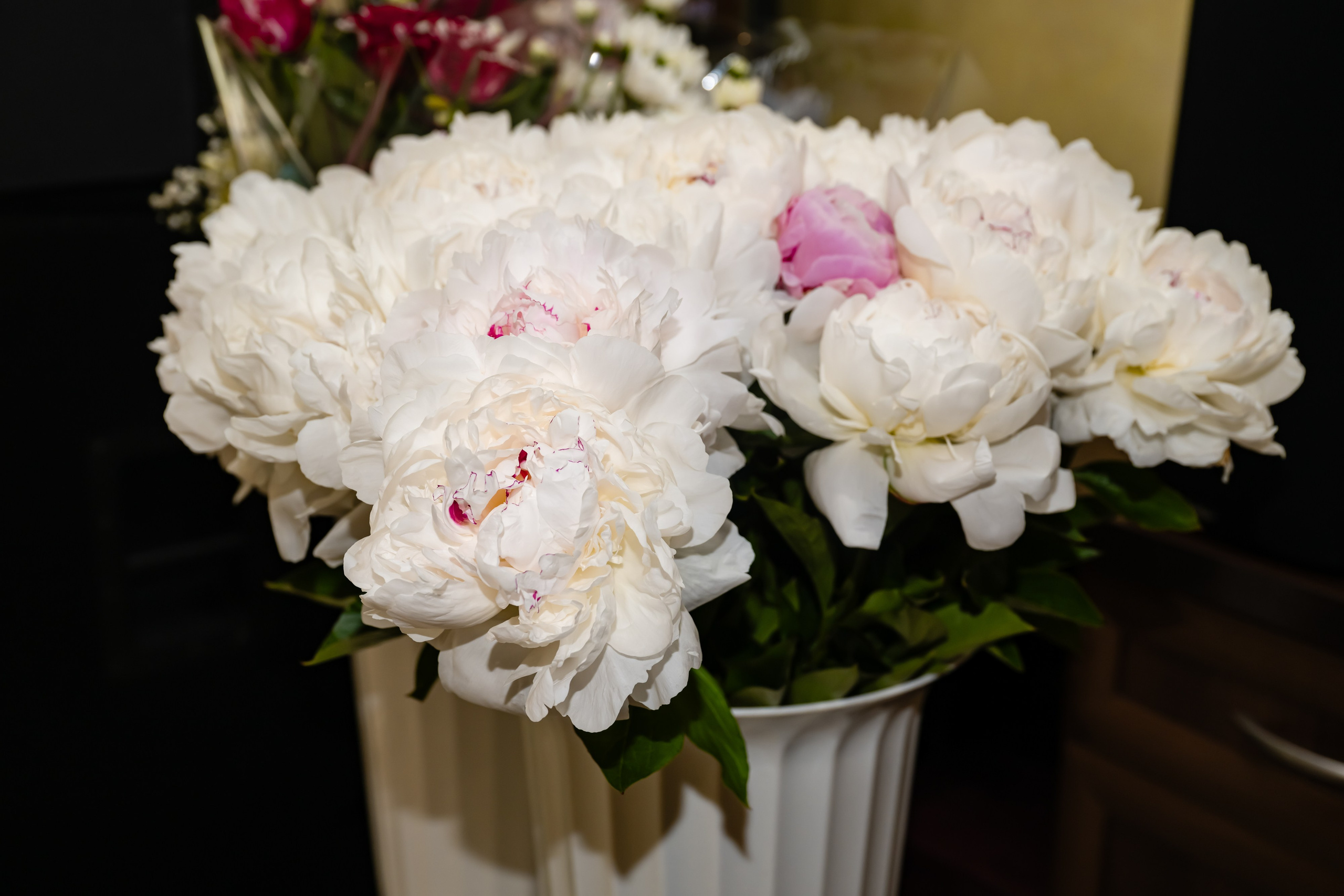 Юбилеи и Корпоративы. Студийный и свадебный фотограф и видеограф в Севастополе — Юлия Макаренко